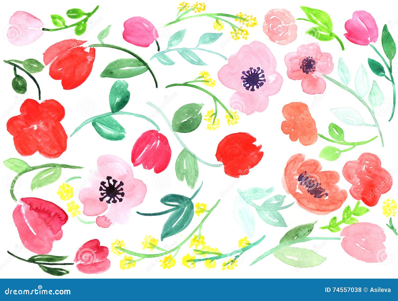 Rose Disegnate A Mano Dell Acquerello Foglie E Fiori Astratti Isolati Su Un Fondo Bianco Illustrazione Di Stock Illustrazione Di Fiori Floreale