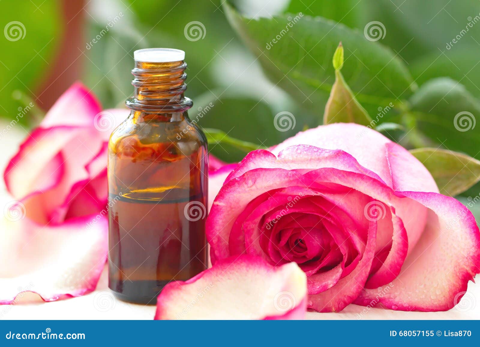 Rose essential aroma oil stock image. Image of organic 68057155