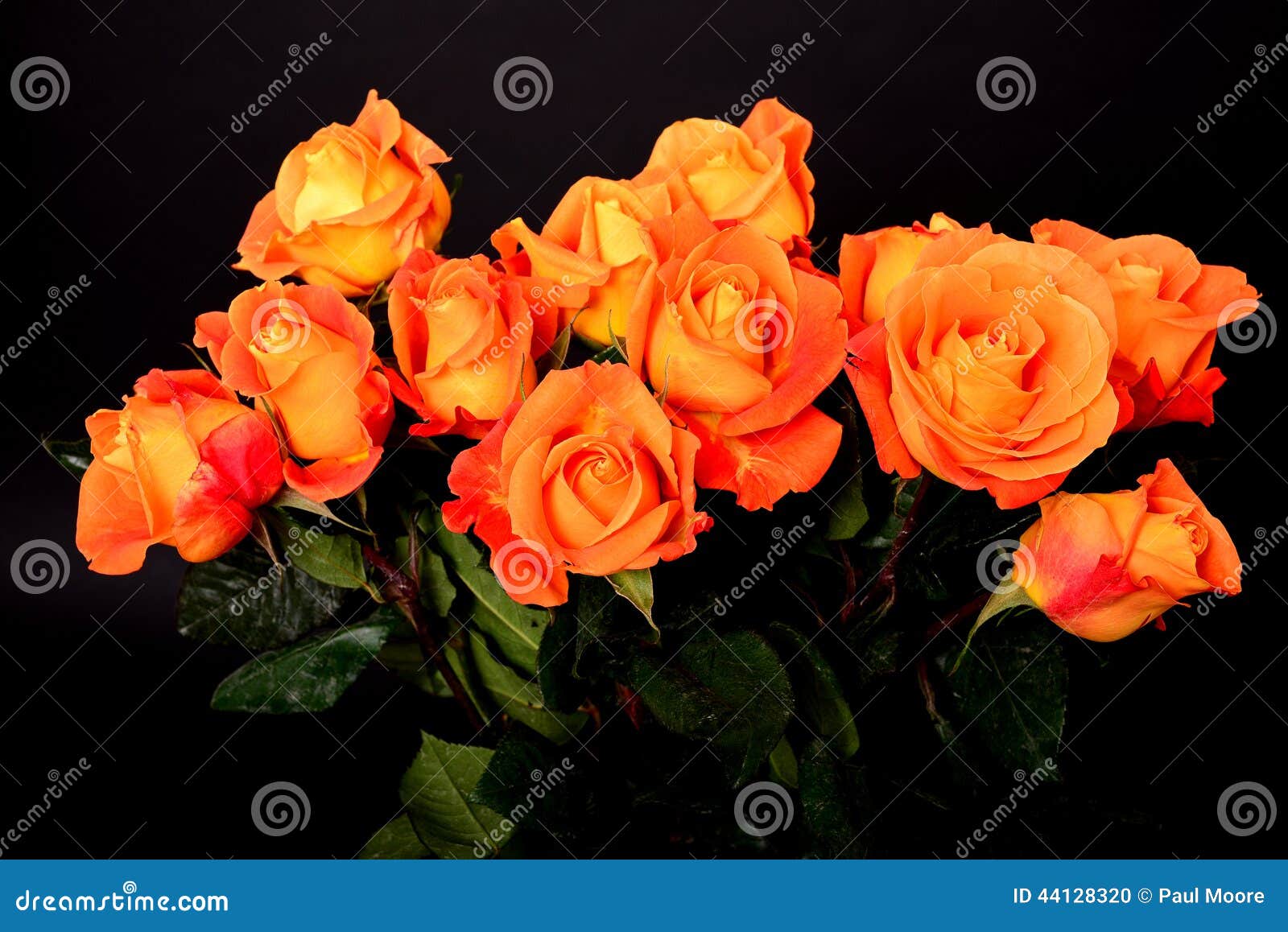 Rose Floral arrangement stock photo. Image of blossom 44128320