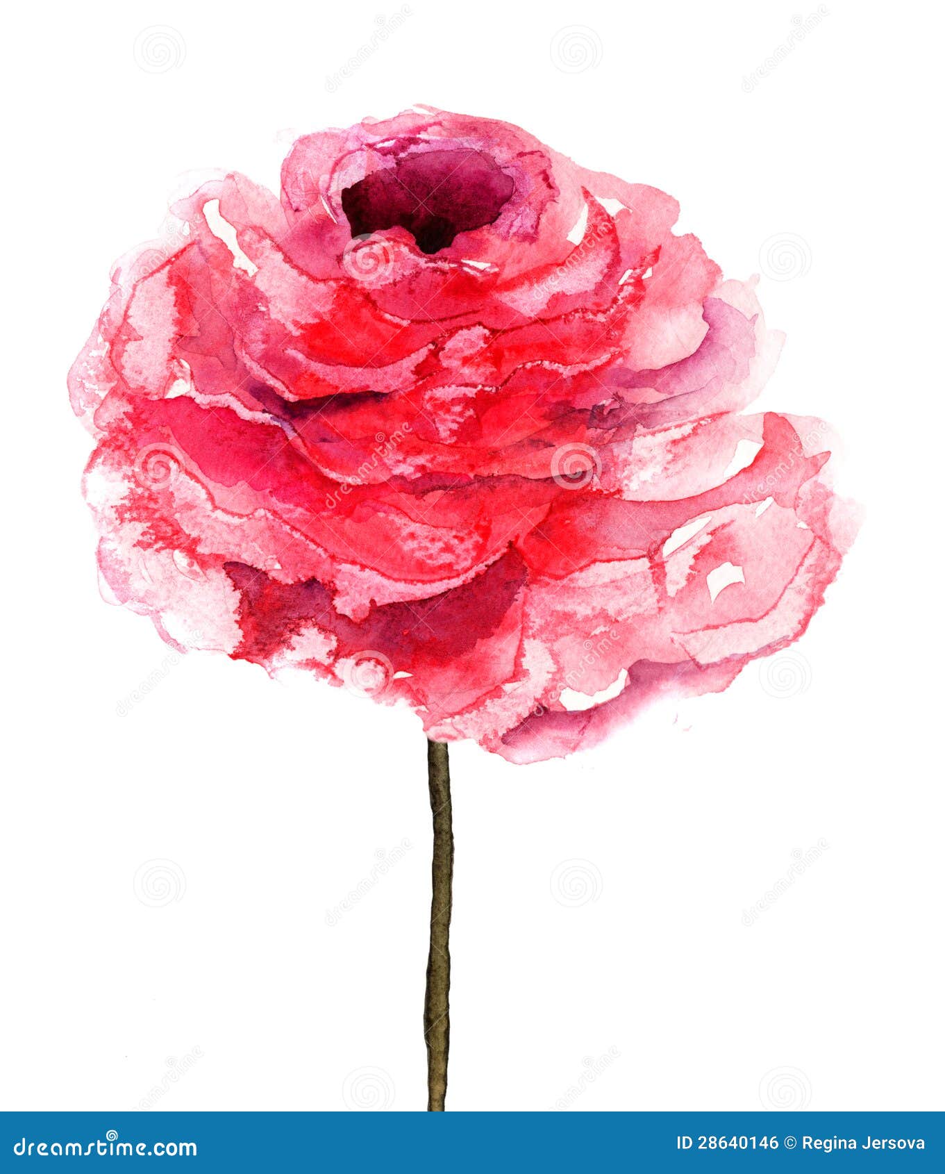 Rose flower stock illustration. Illustration of plant 28640146