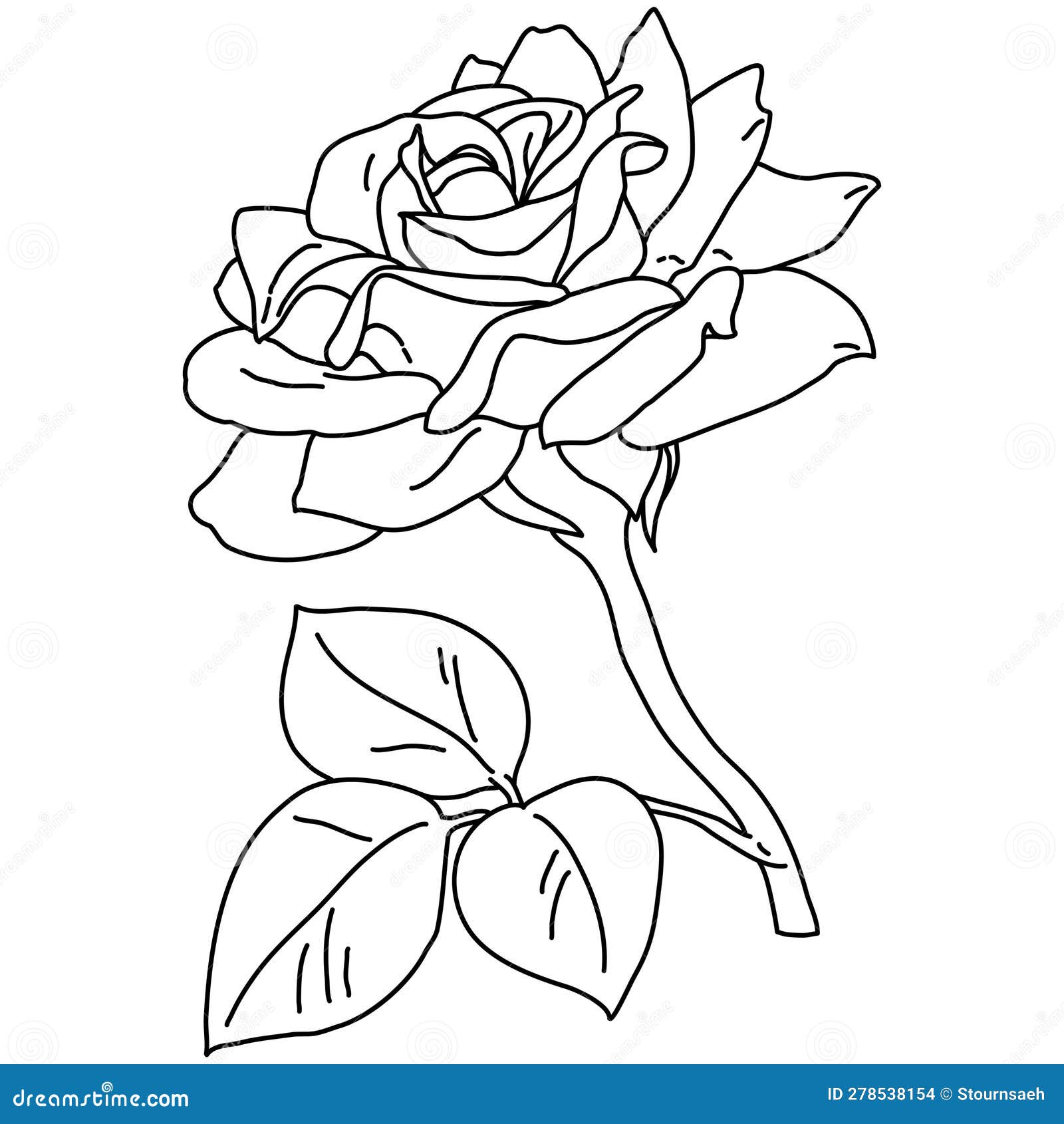 Rose Flower in Bloom on Stem with Leaf Line Art. Hand Drawn Realistic ...
