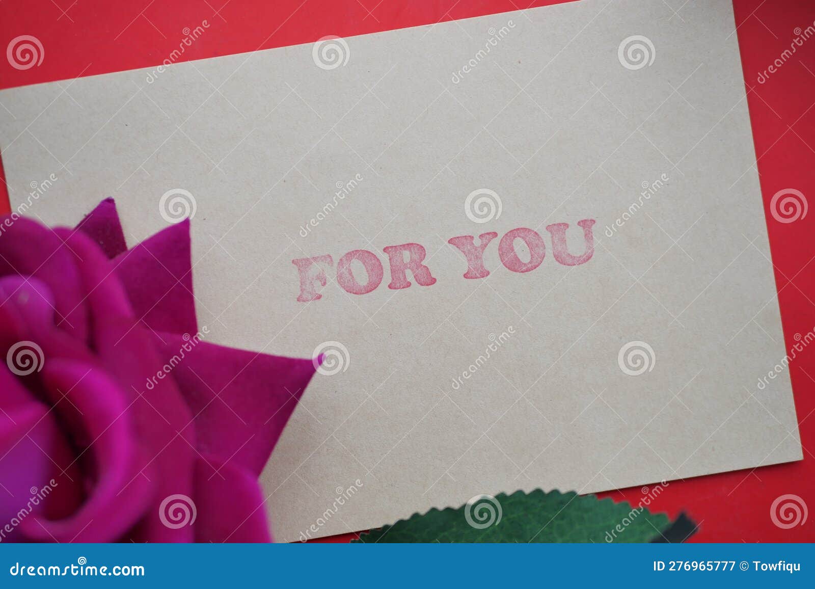 Rose Flower and Gift Card with for You Text on it Stock Image Image