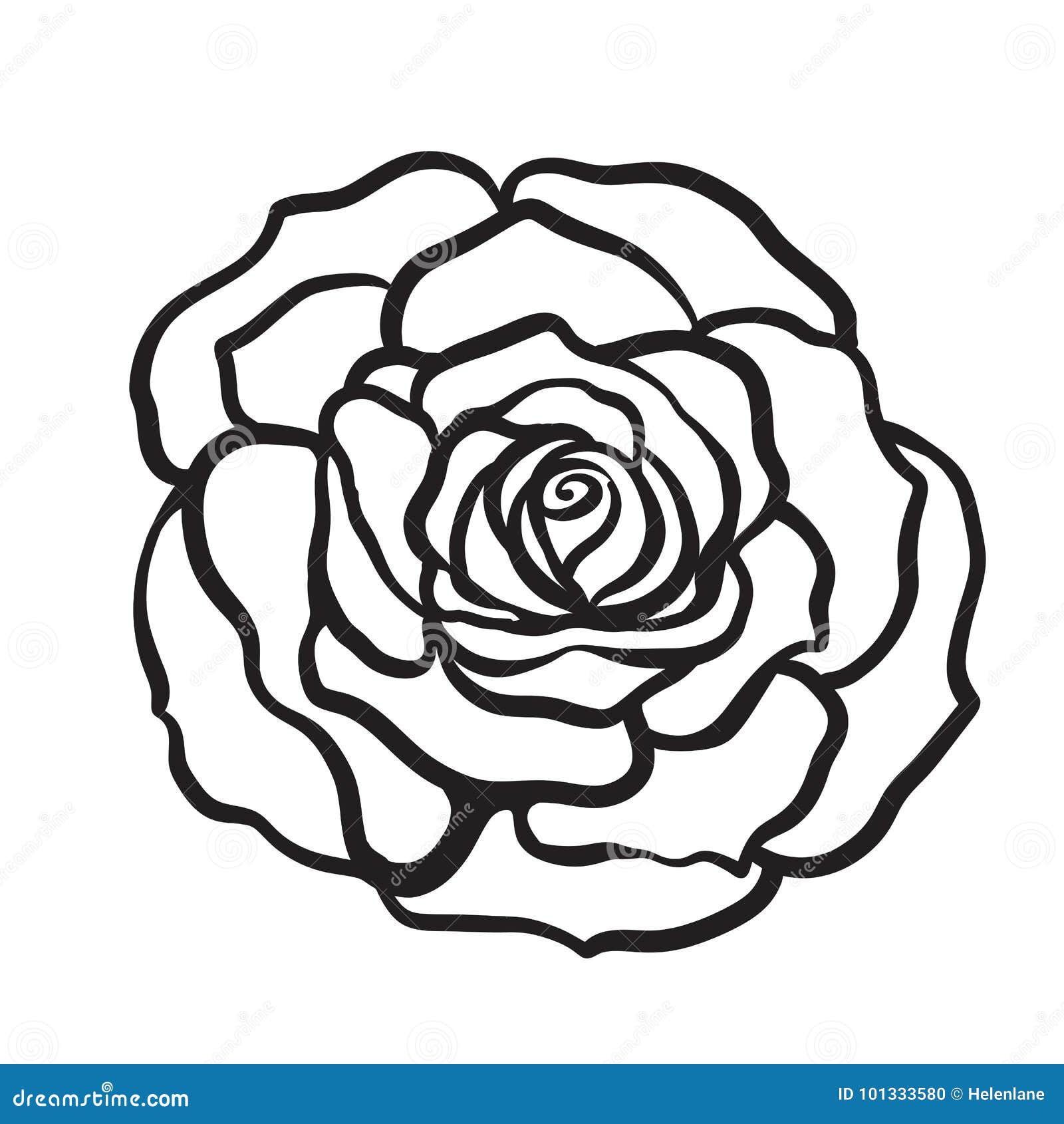 Rose Flower Isolated Outline Hand Drawn. Stock Line Vector Illus Stock  Vector - Illustration of ornate, decoration: 101333580