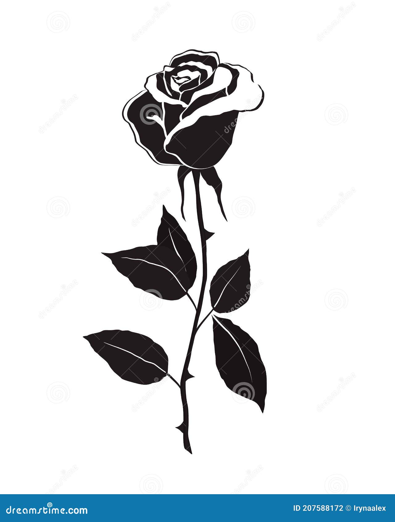 Rose Flower with Leaves Over White Background. Black Silhouette Stock ...