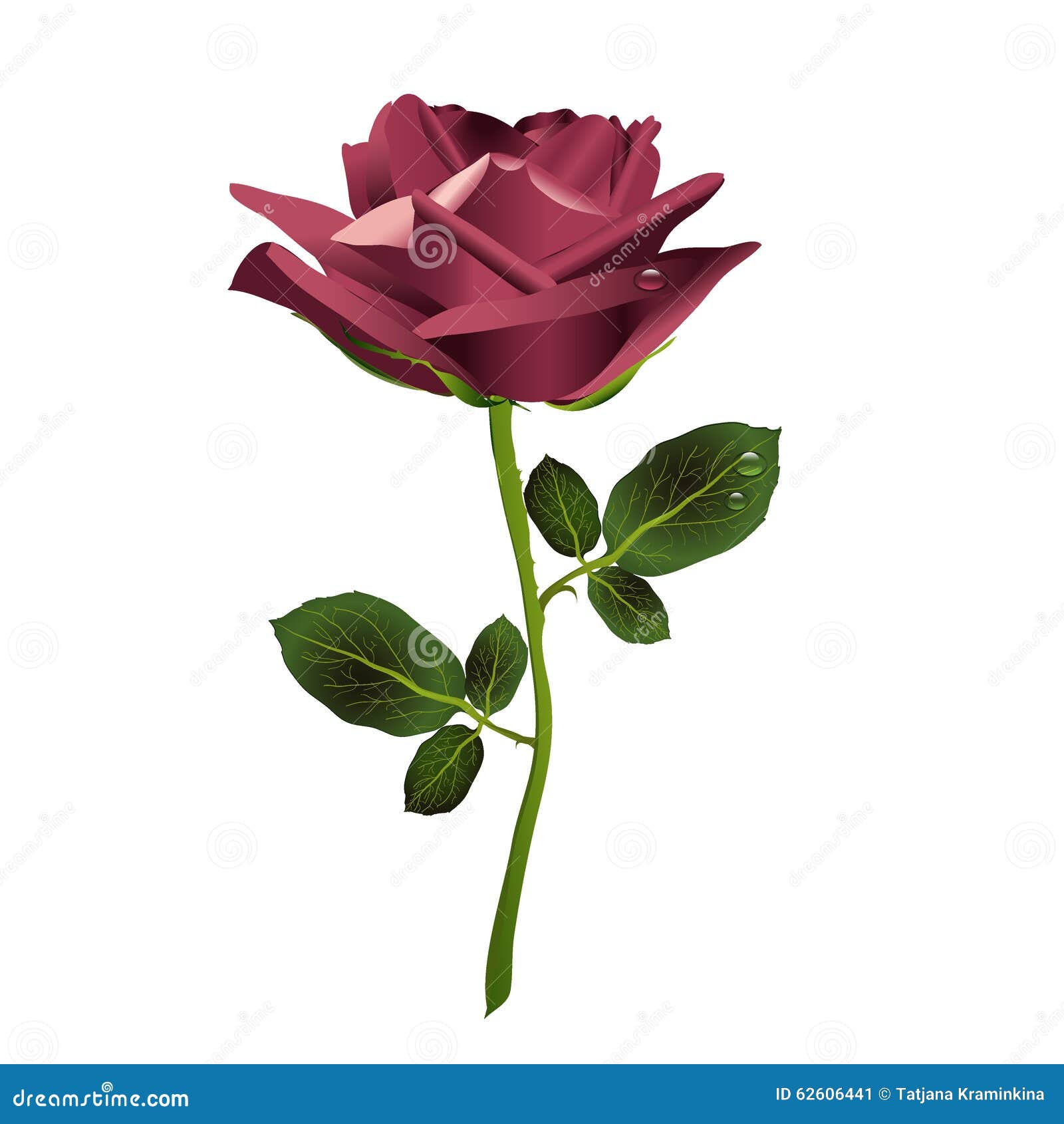 Rose Flower Marsala on a White Background. Vector Stock Illustration -  Illustration of beautiful, abstract: 62606441