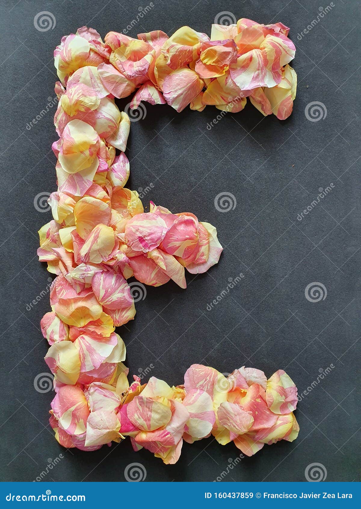 Flowers In The Shape Of An E