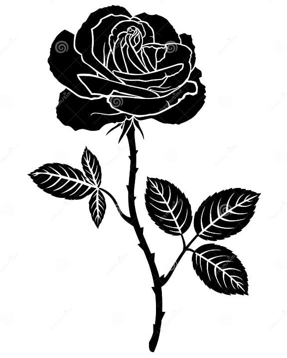 Rose flower silhouette stock vector. Illustration of white - 43631494