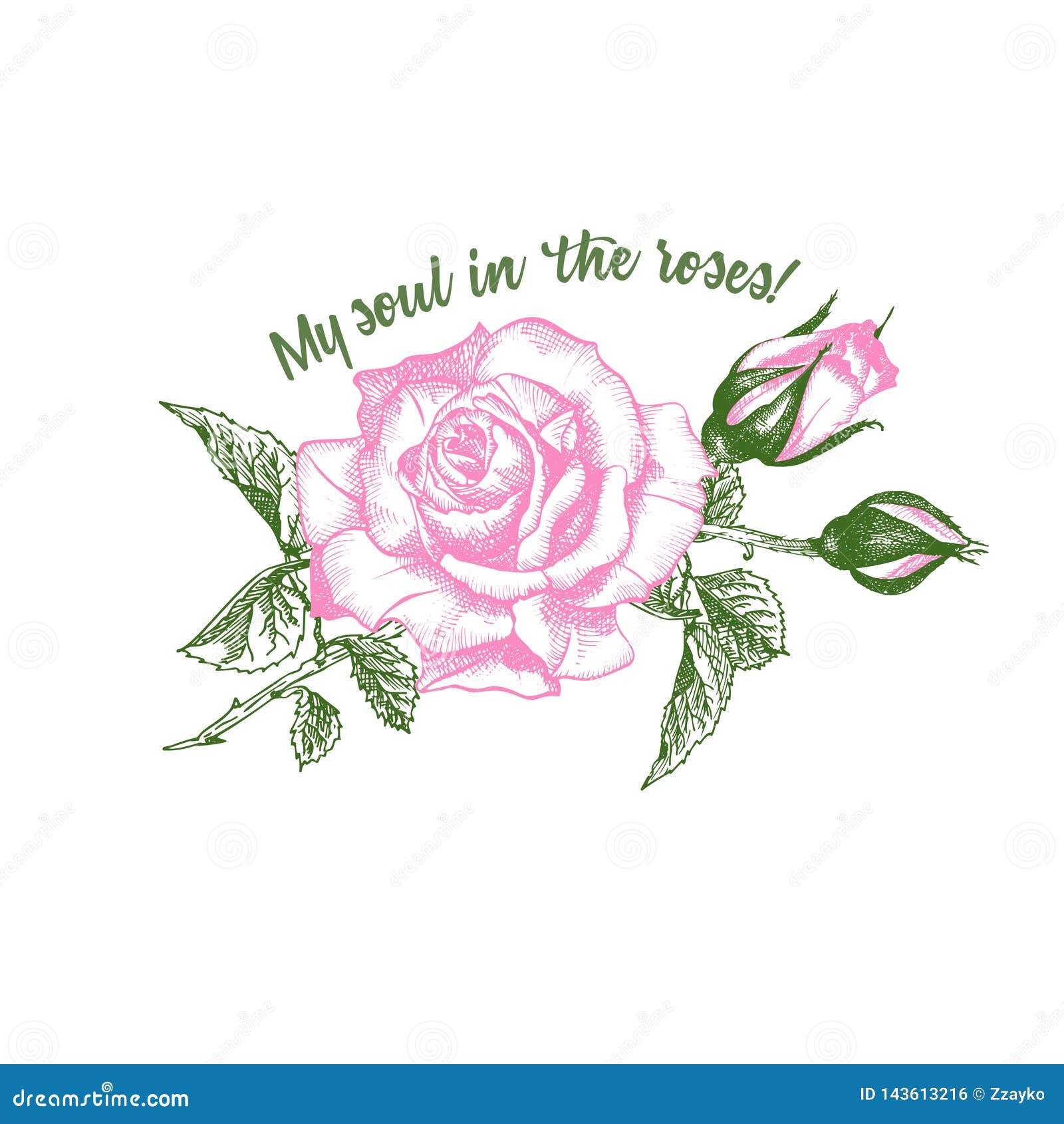 Pencil Color Sketch Of Rose | DesiPainters.com