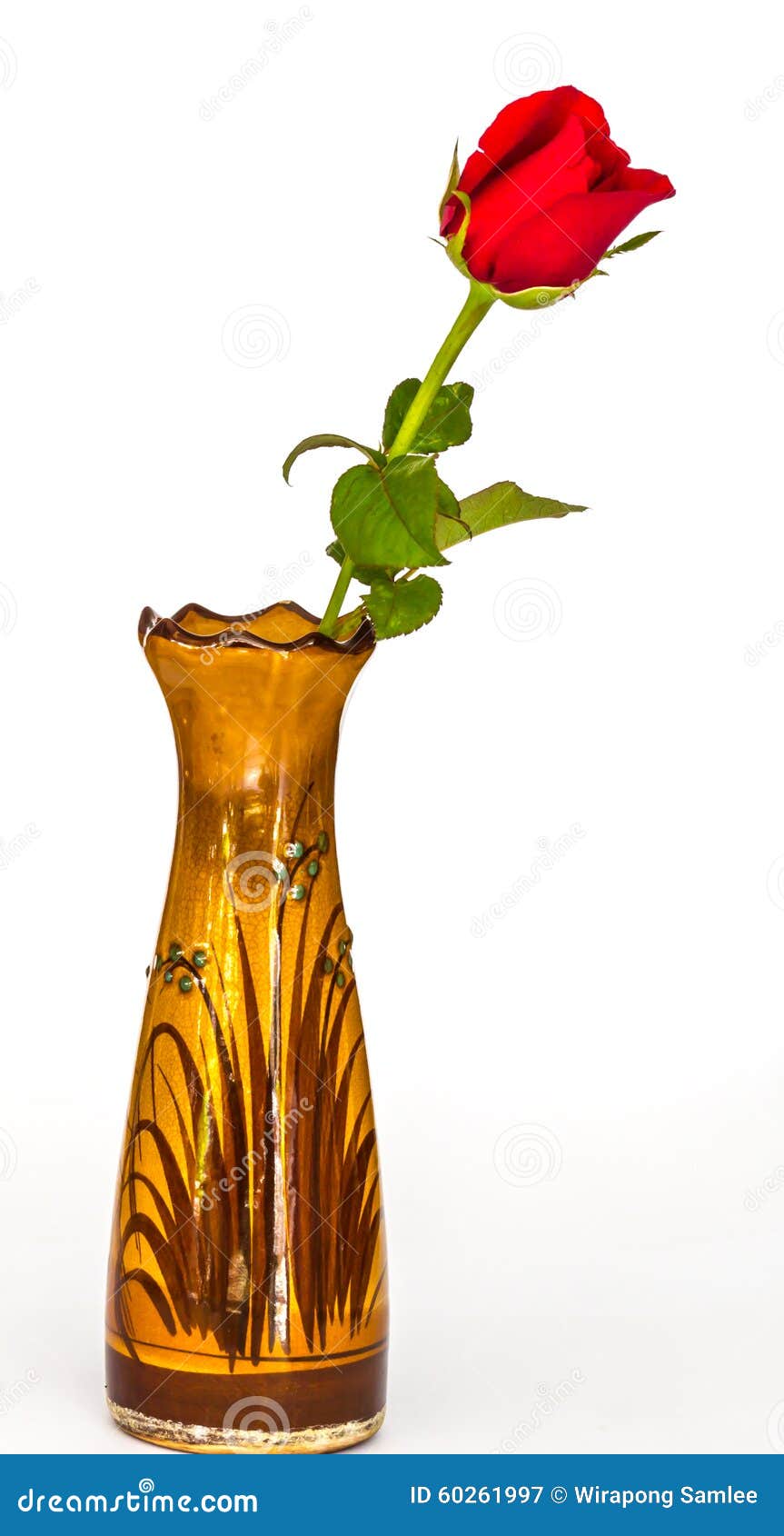 Rose flower on the vase stock image. Image of flora, bouquet 60261997