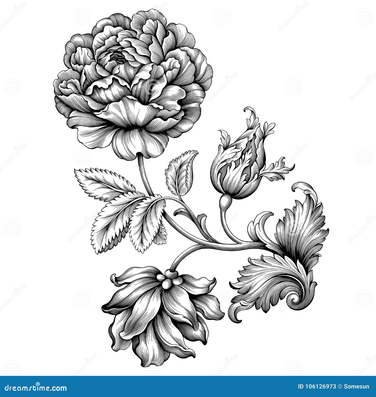 rose flower vintage baroque victorian frame border floral