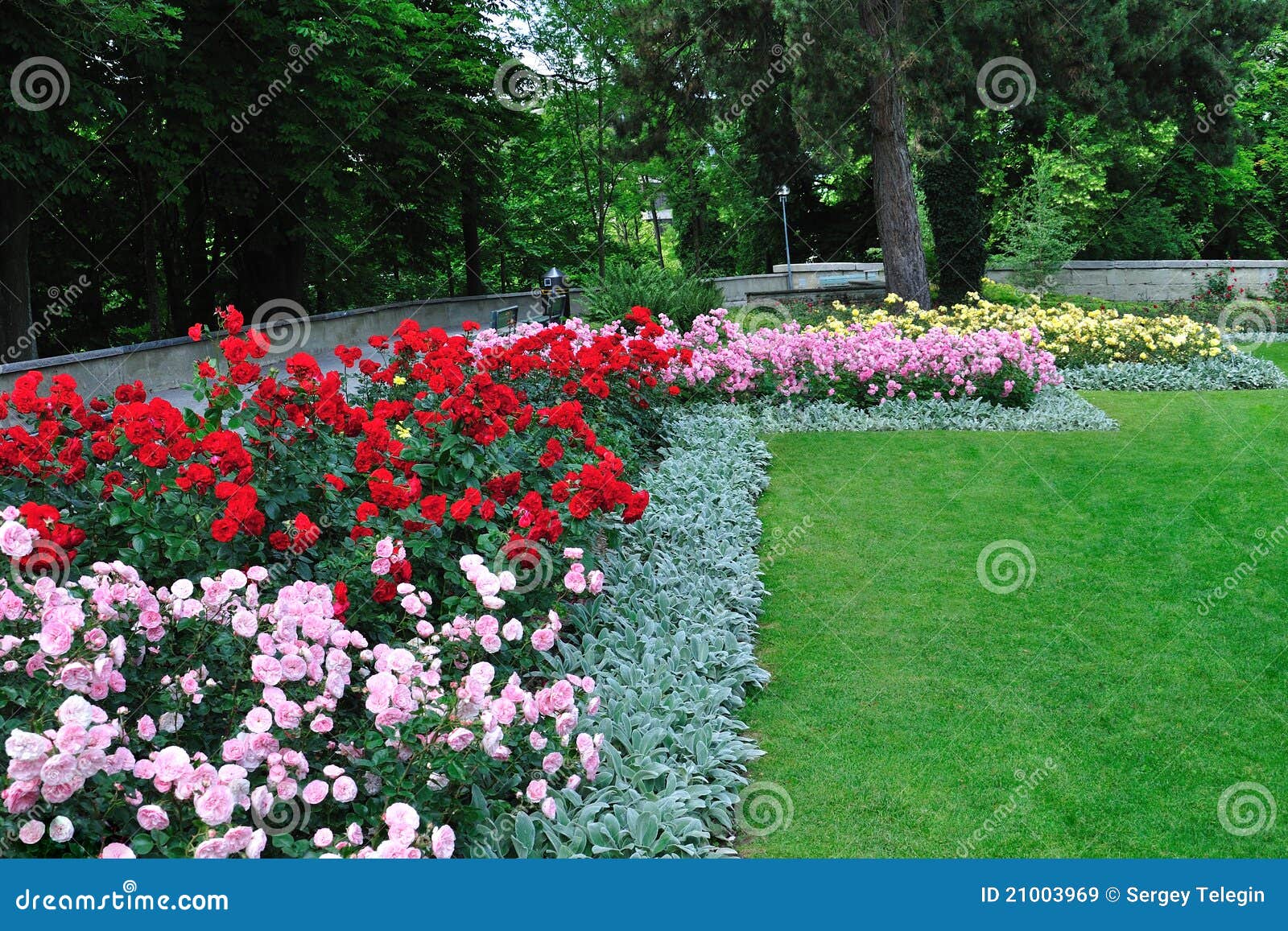 Rose Flowerbeds In A Garden Of Bern, Switzerland Royalty 