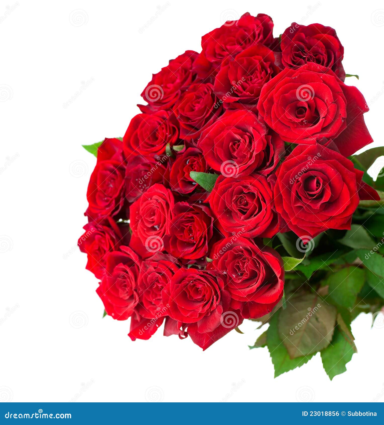 rose flowers bouquet 23018856