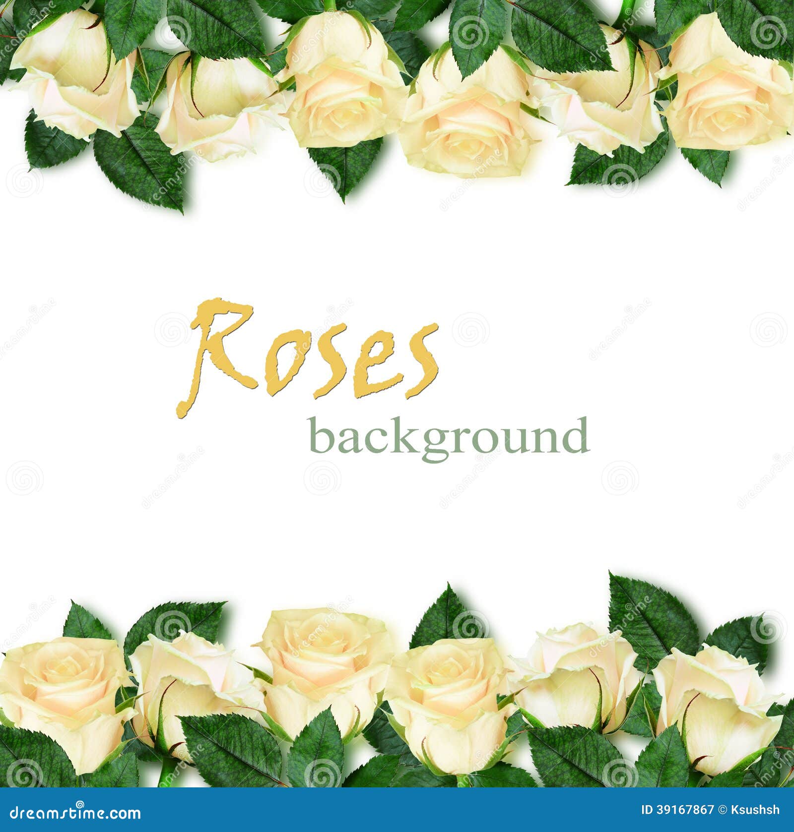 Rose flowers edges stock image. Image of ornamental, nature 39167867