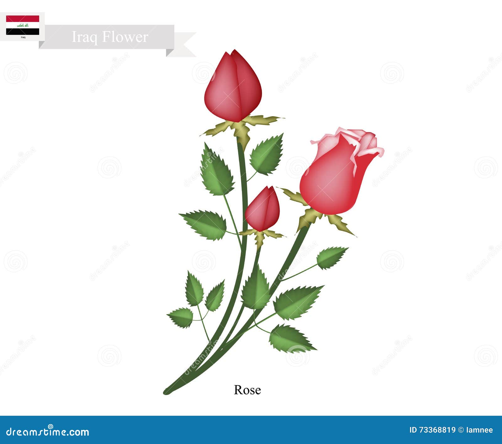 Rose Flowers, a Flor Nacional De Iraque Ilustração do Vetor - Ilustração de  alexandro, fundo: 73368819