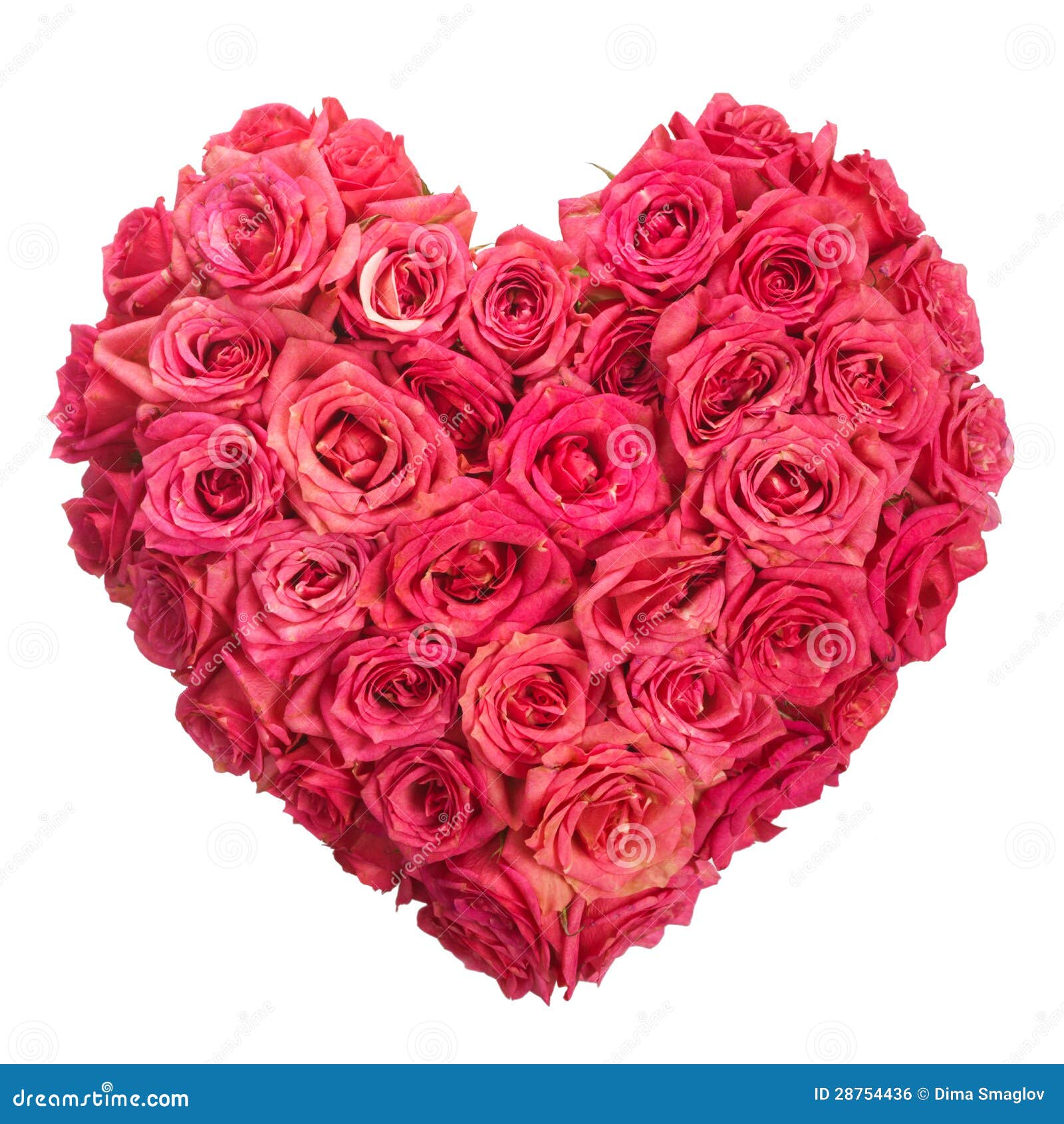 Rose Flowers Heart Over White Valentine Love Stock Photo Image Of Blossom Flower 28754436