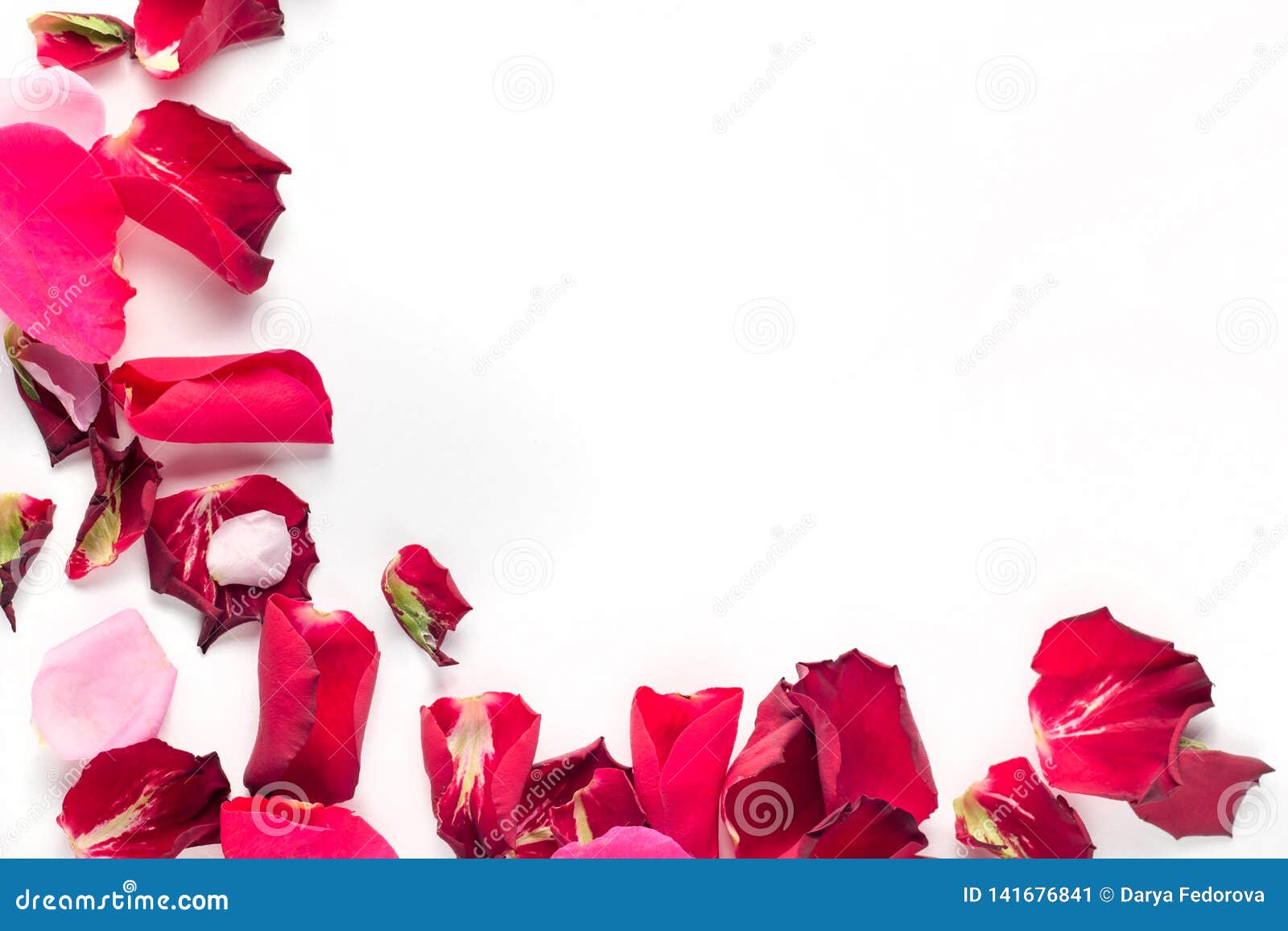 Rose Flowers Petals on White Background. Valentines Day Background. Flat  Lay, Top View, Copy Space Stock Image - Image of holiday, leaf: 141676841