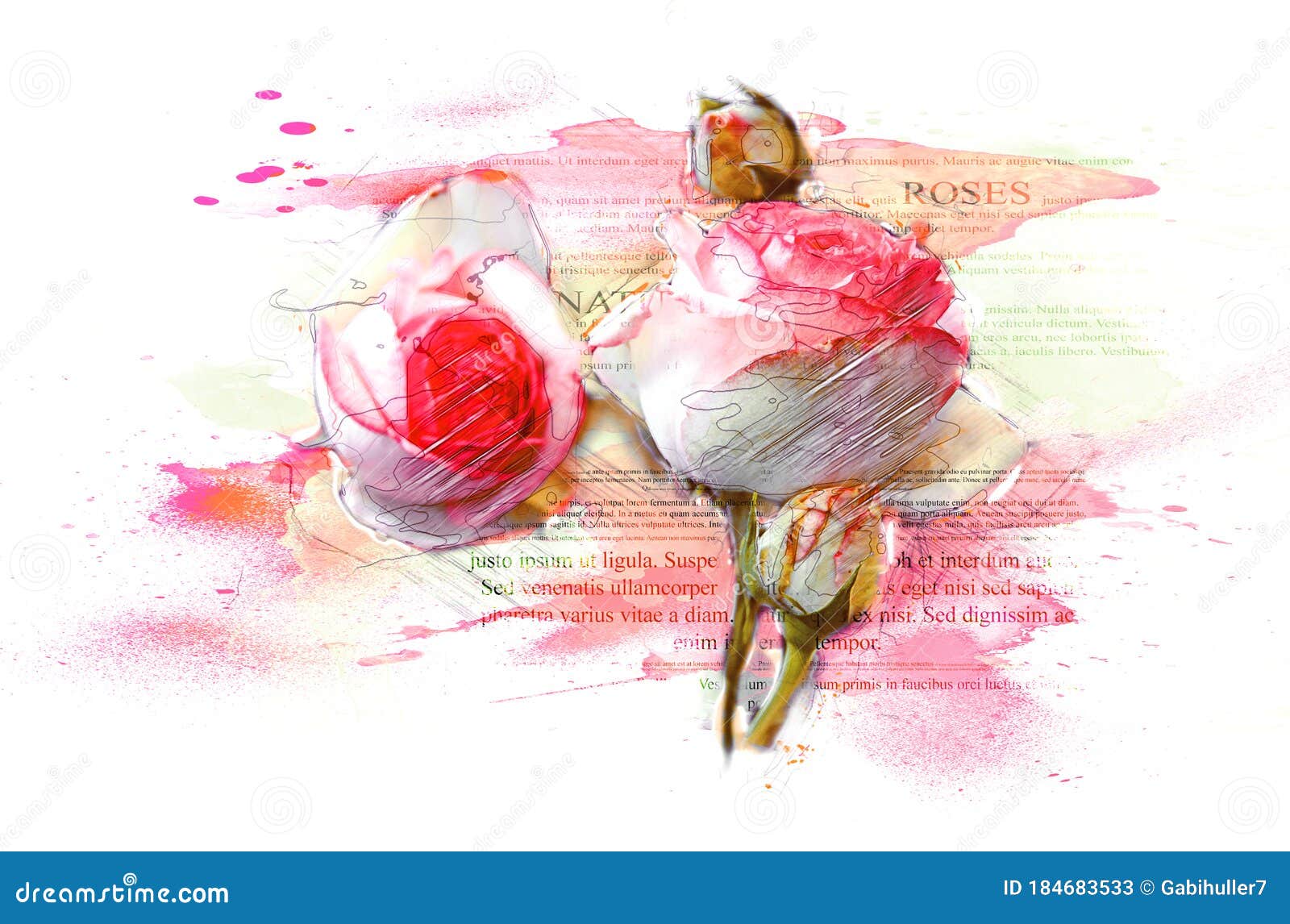 Rose Flowers Pink Roses Watercolor Art Illustration - Isolated White ...