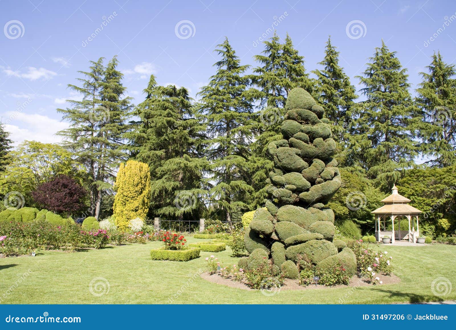 Rose Garden Stock Photo Image Of Designs Grace Gardening 31497206