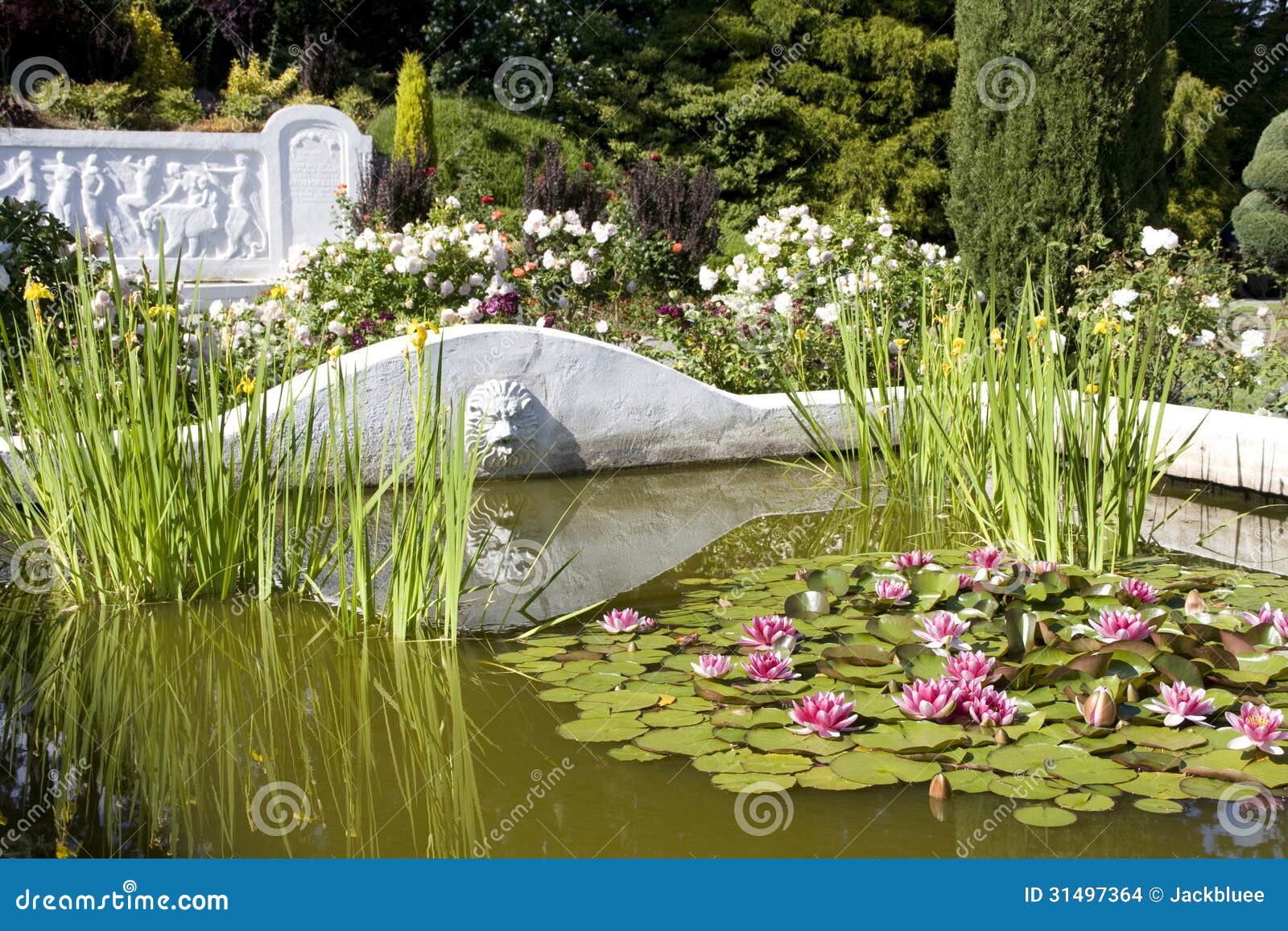 Rose Garden Stock Photo Image Of Park Woodland White 31497364