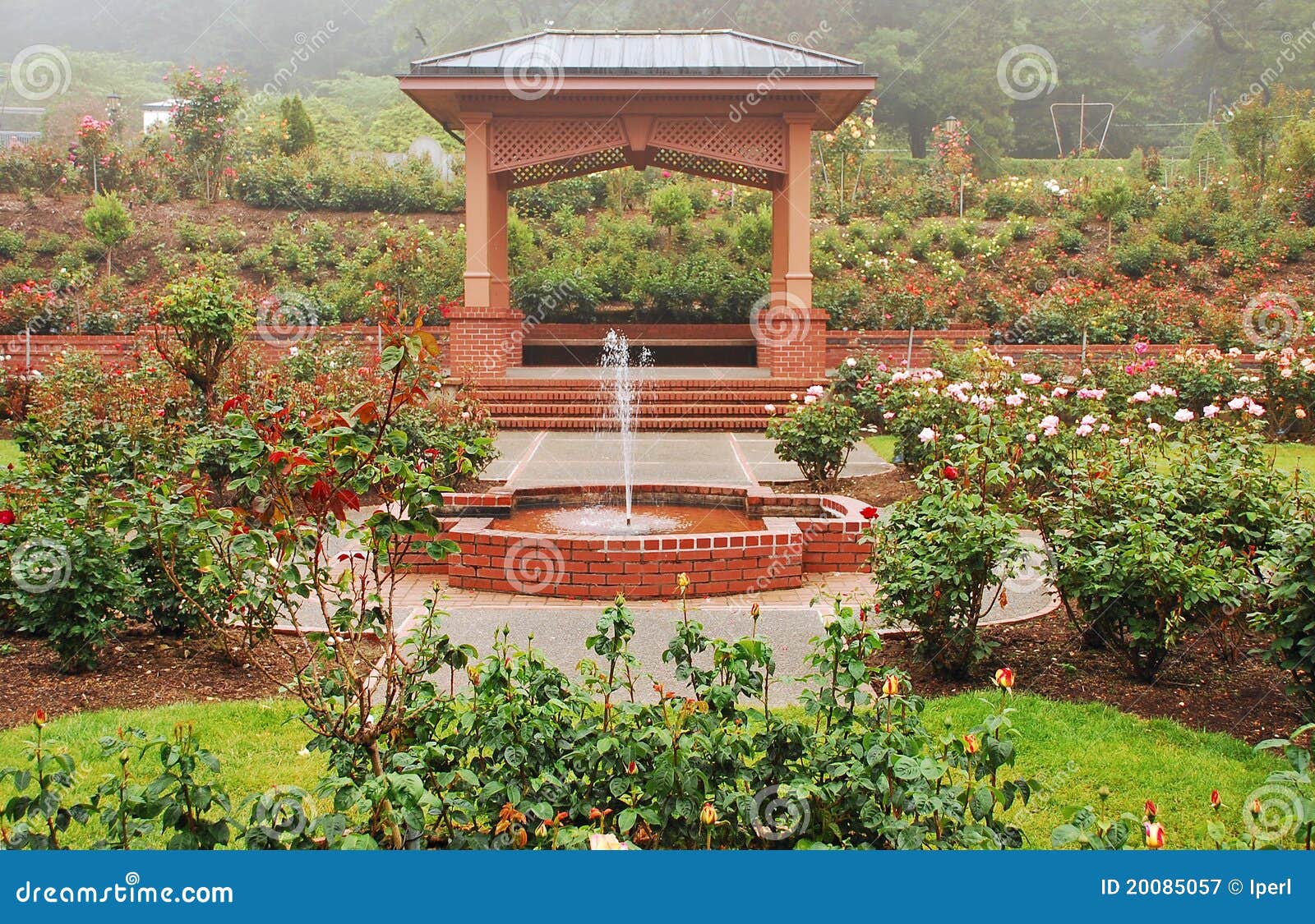 Rose garden gazebo stock image. Image of outdoors, structure 20085057