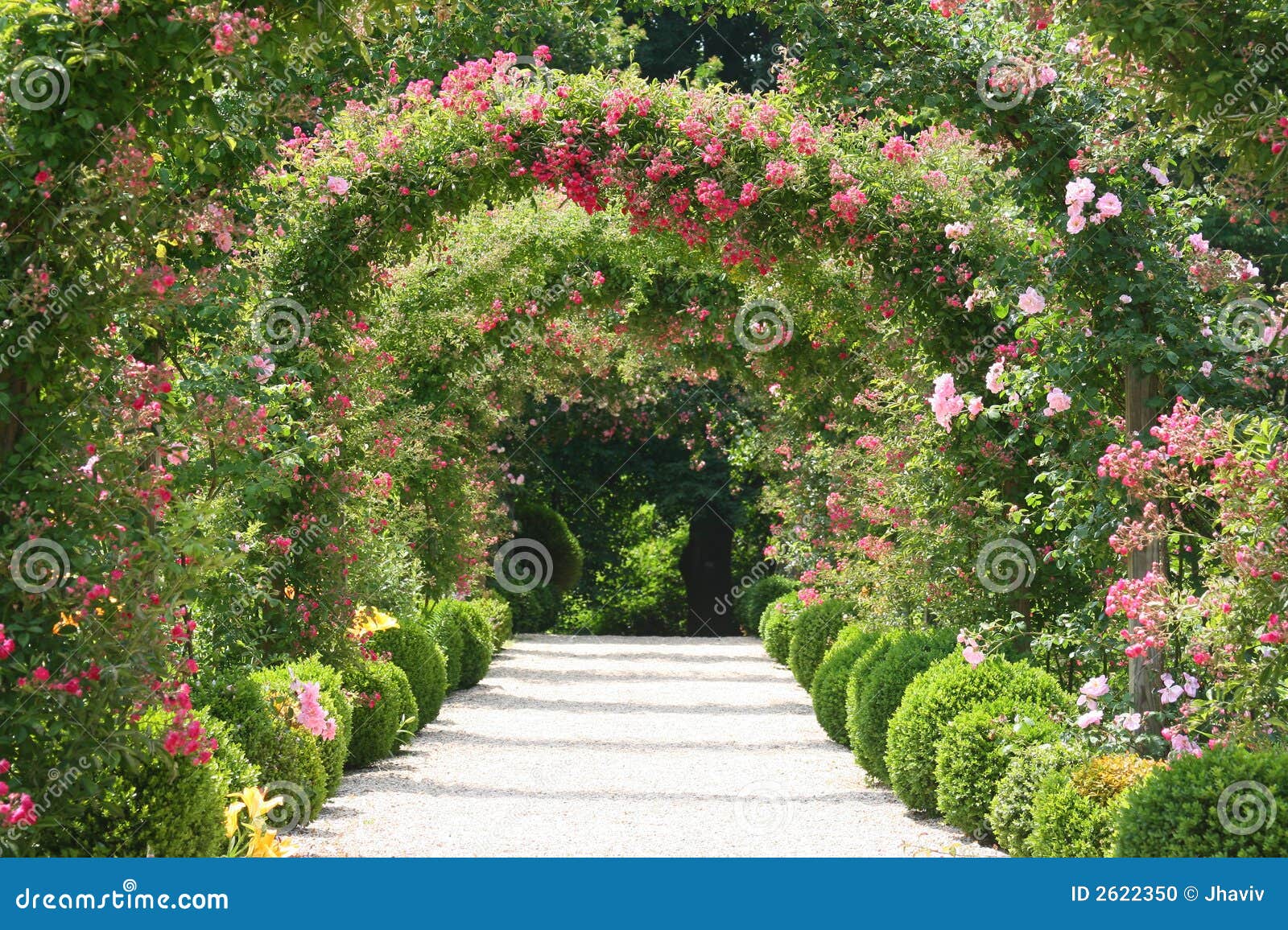 498,169 Rose Garden Stock Photos - Free & Royalty-Free Stock Photos from  Dreamstime