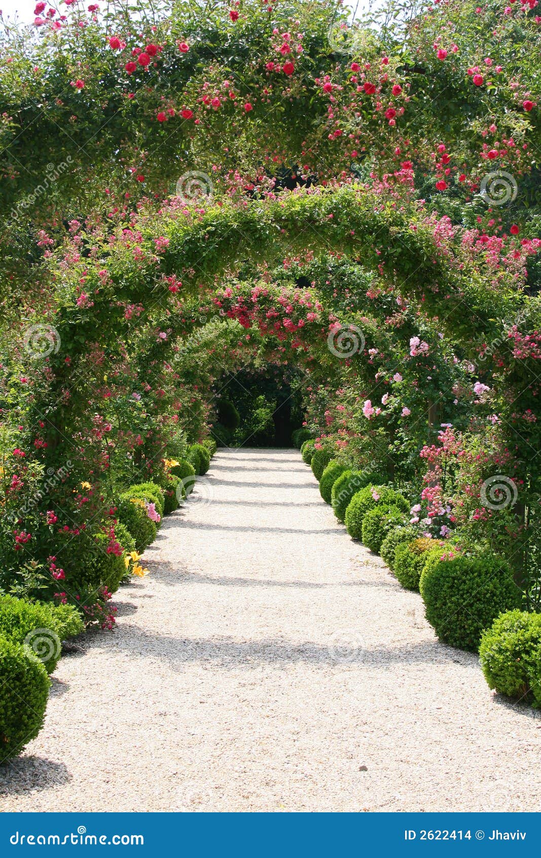 Rose Garden Landscape Stock Images - Image: 2622414