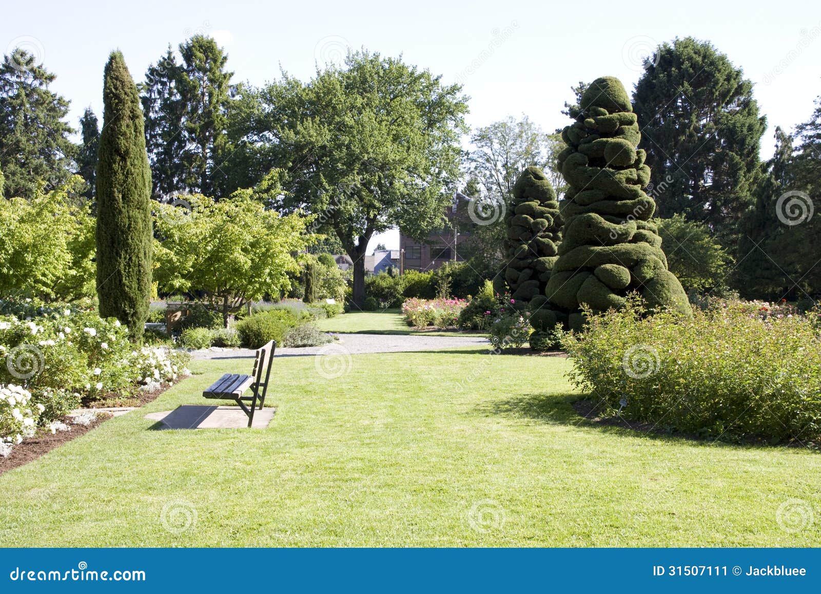 Rose Garden With Nice Lawn Stock Image Image Of Grass 31507111