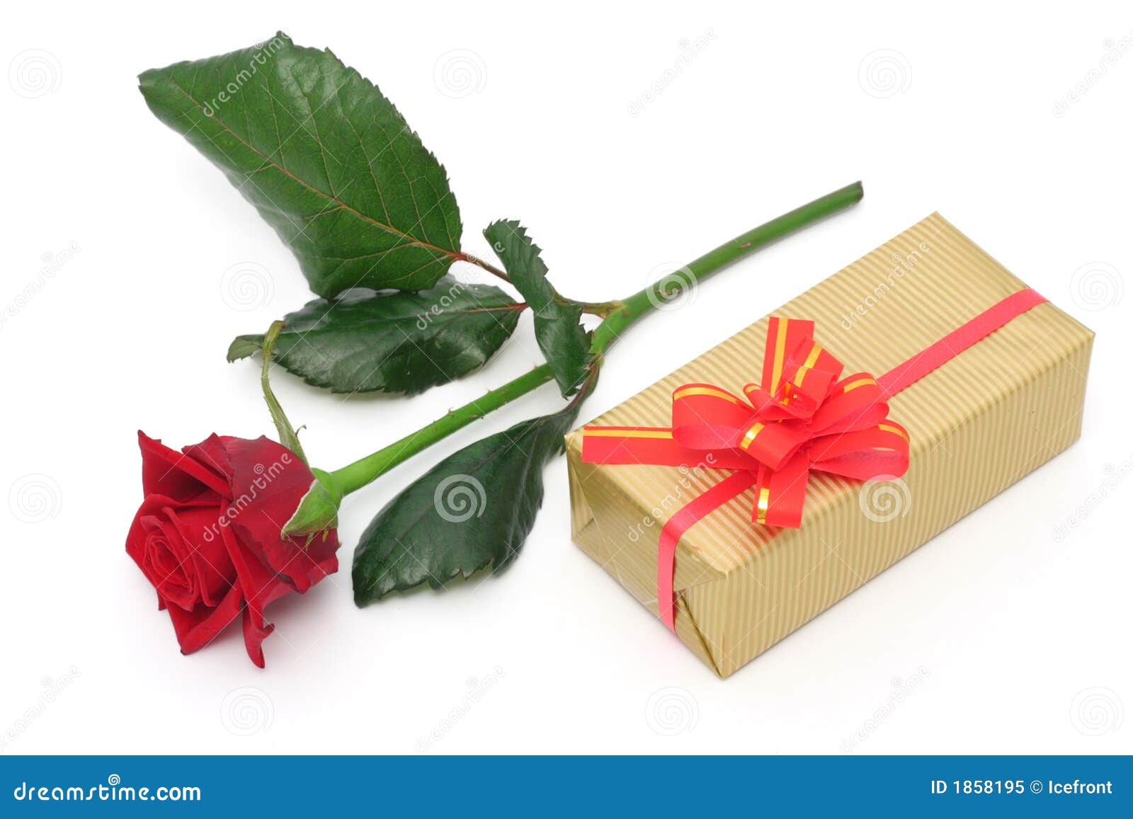 Rose and gift stock image. Image of gold, closed, celebrate 1858195