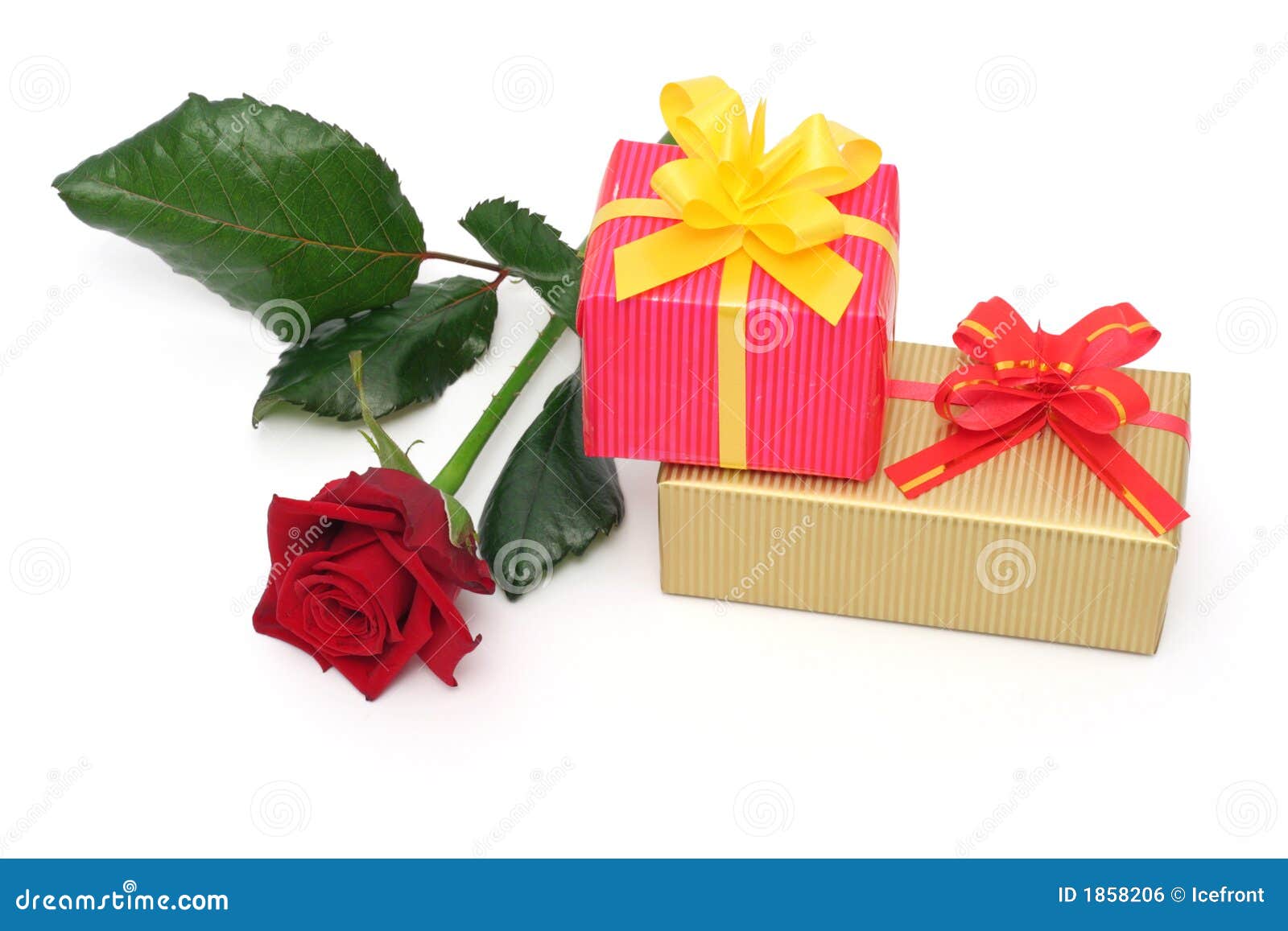 Rose and gift stock photo. Image of closed, elegant, green 1858206