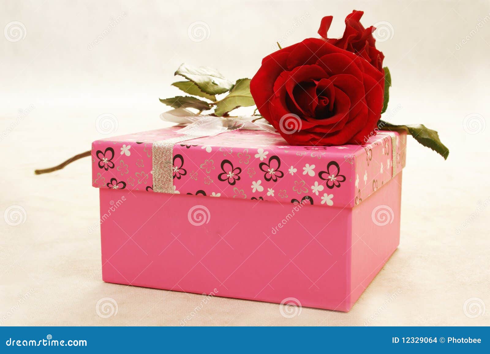 Rose and gift box stock photo. Image of health, happy 12329064