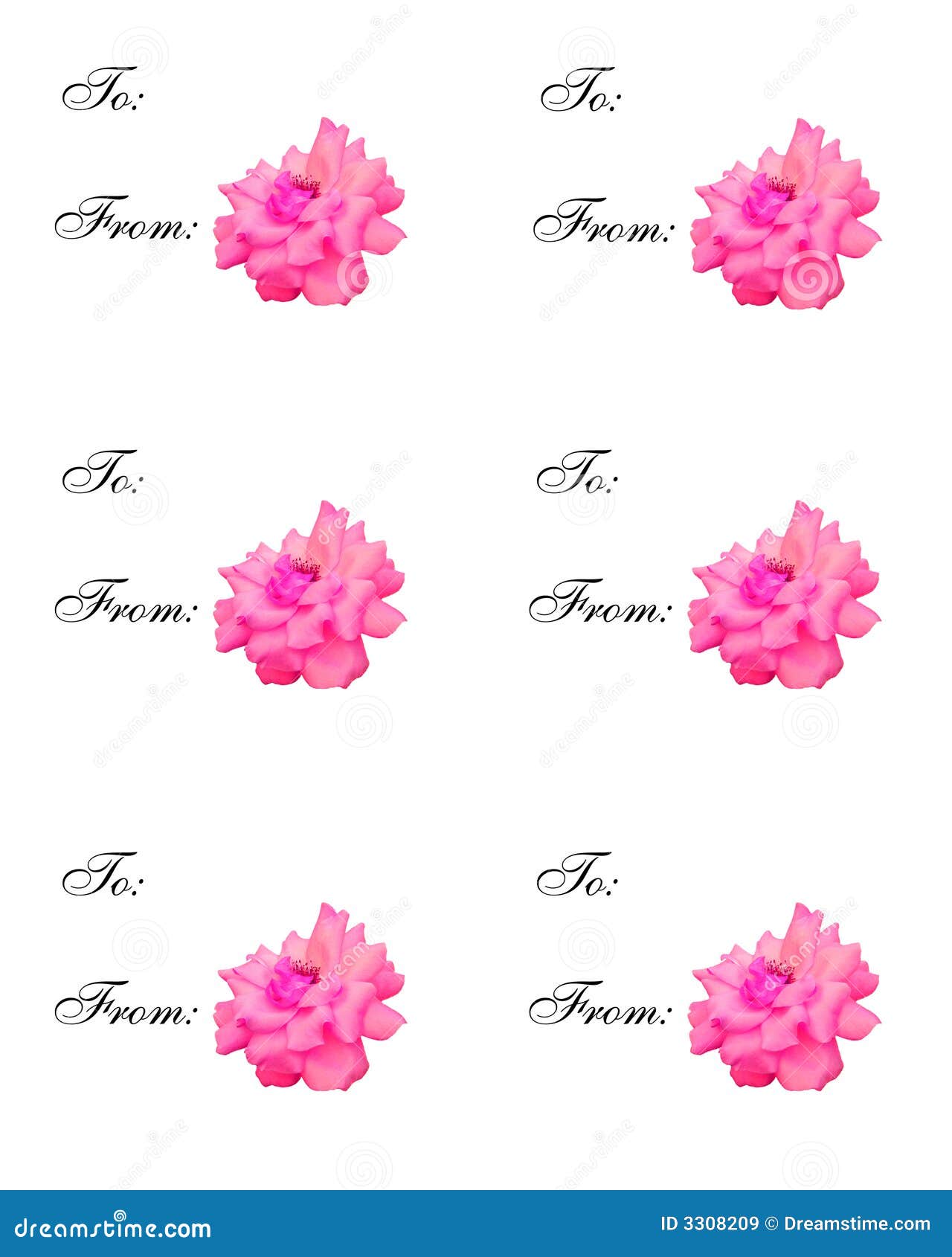 Rose Gift Tags stock illustration. Illustration of tags 3308209