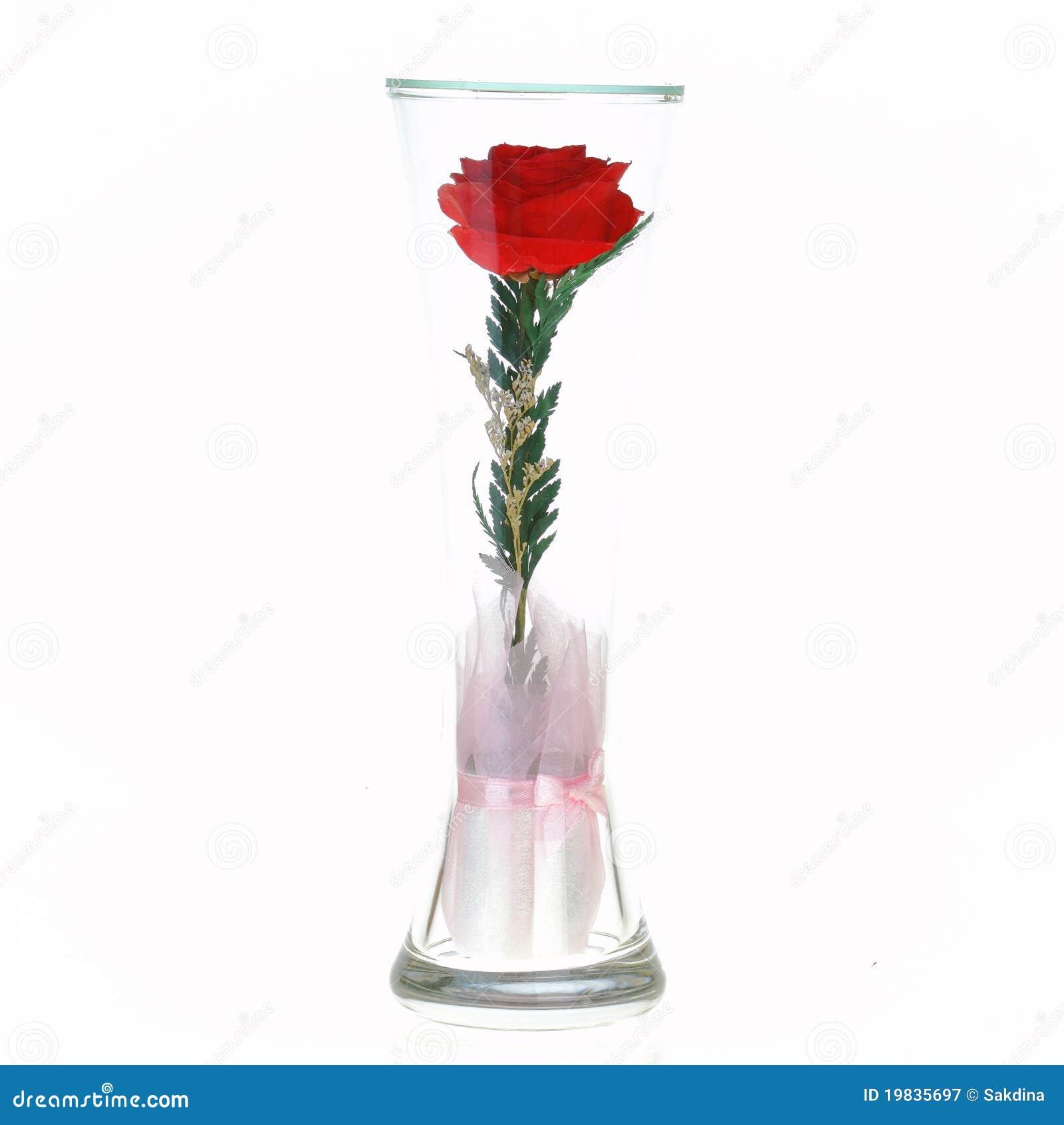 The rose in a glass stock image. Image of bunch, backgrounds 19835697