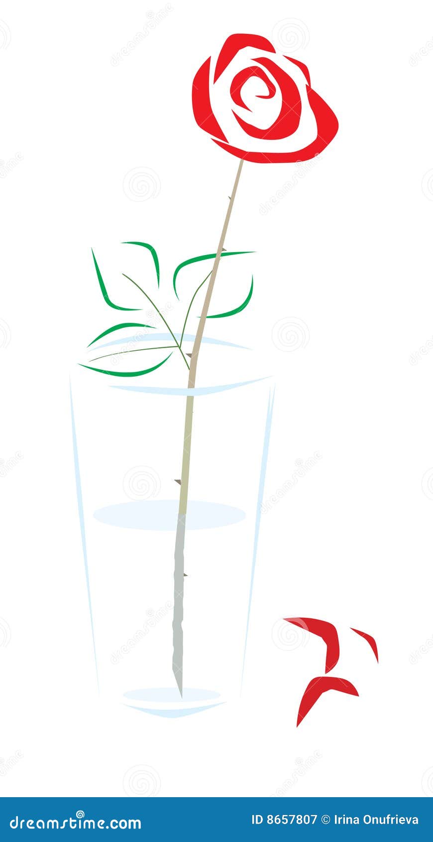 Rose in a glass stock vector. Illustration of vertical 8657807