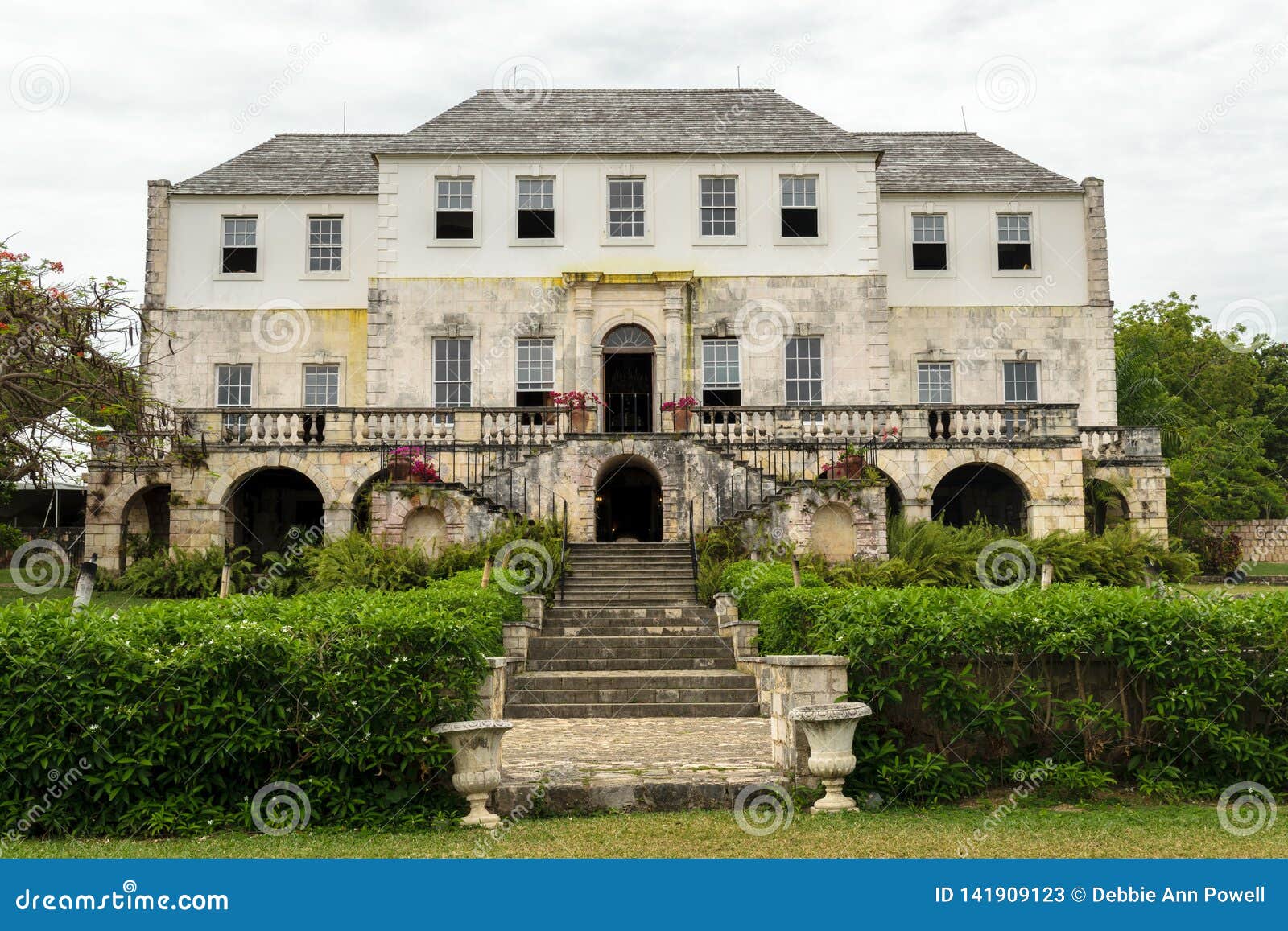 Rosa Bild Rose Hall Great House Montego Bay Jamaica