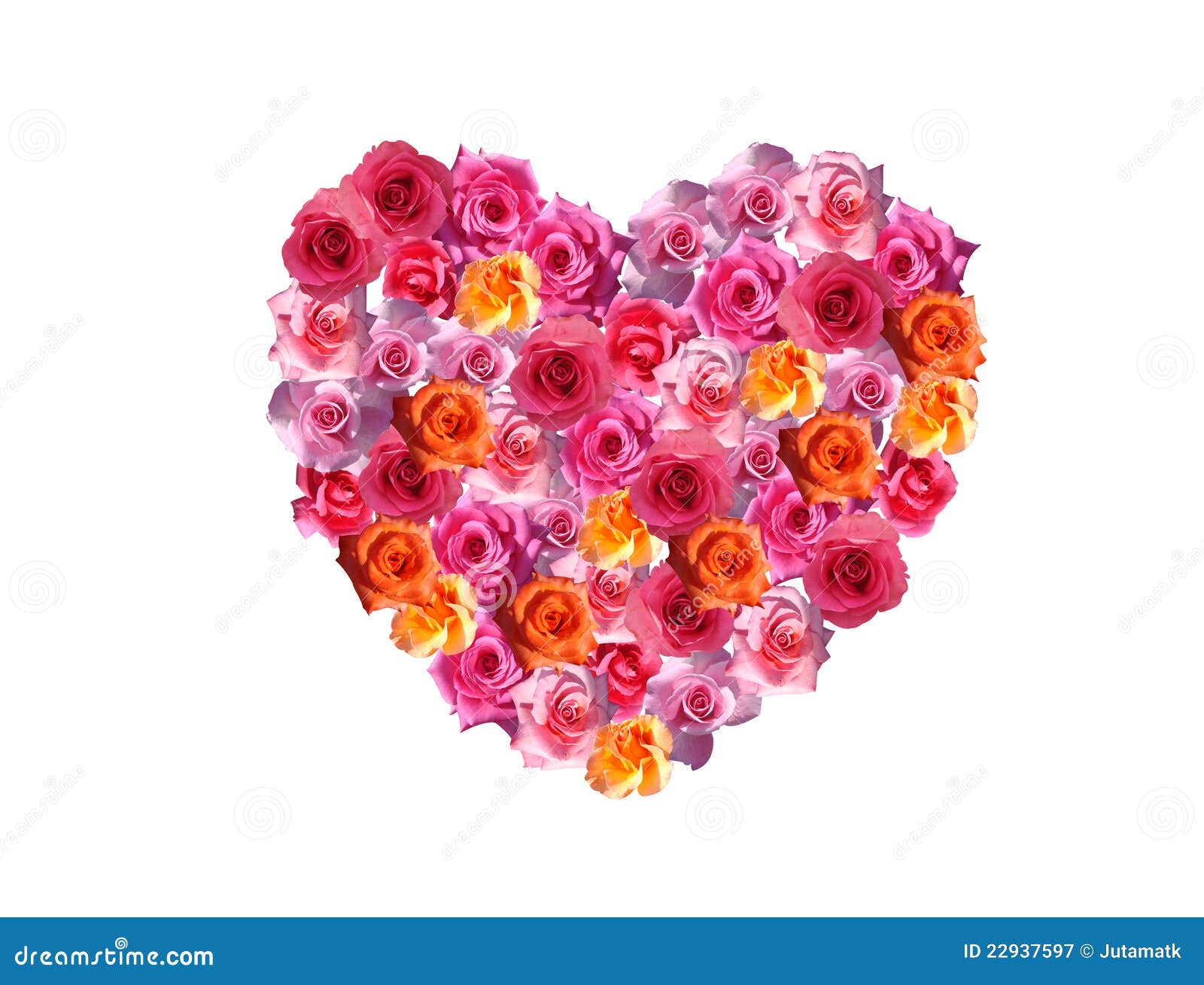 Rose hart stock image. Image of green, happiness, celebration 22937597