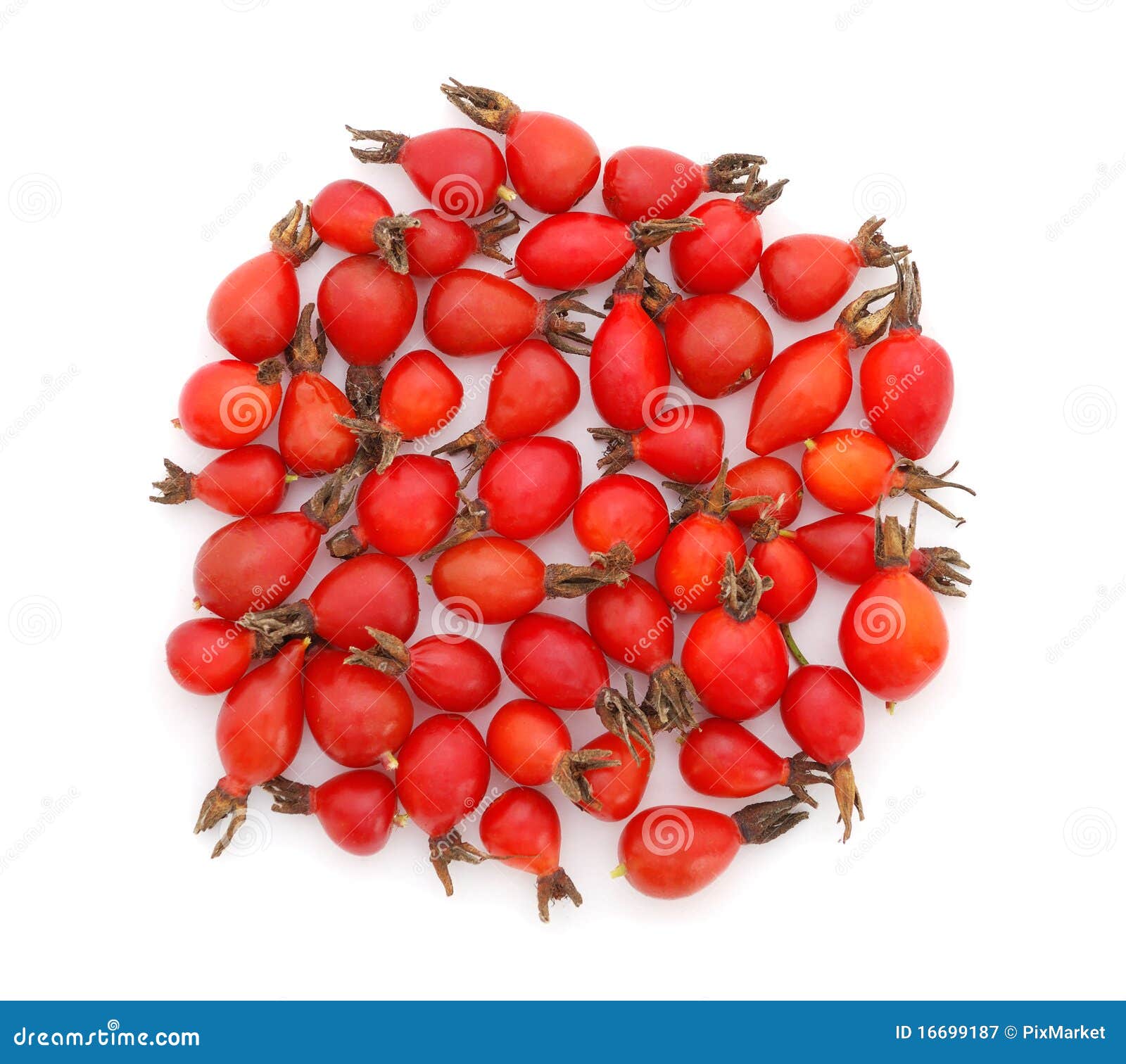 Rose hips stock image. Image of ripe, isolated, healthy 16699187