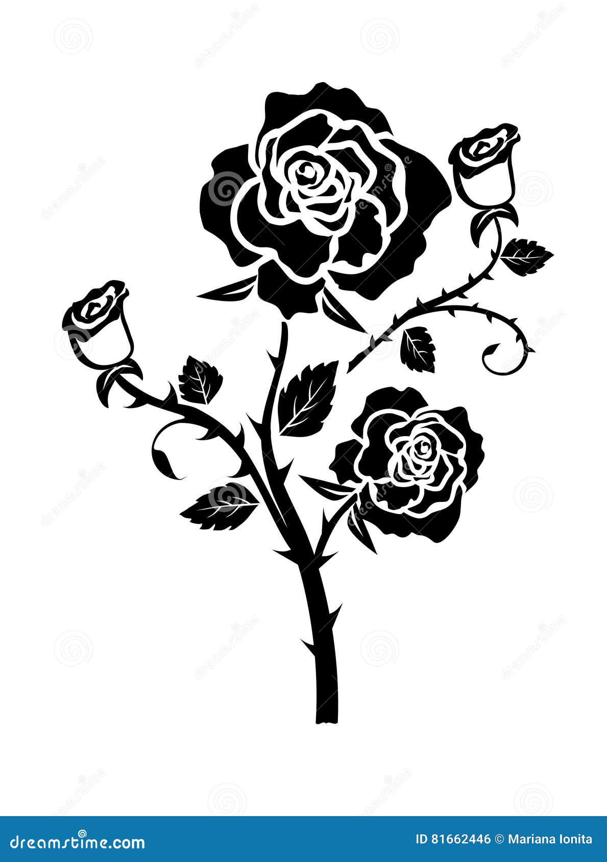 Rose illustration stock vector. Illustration of buds - 81662446