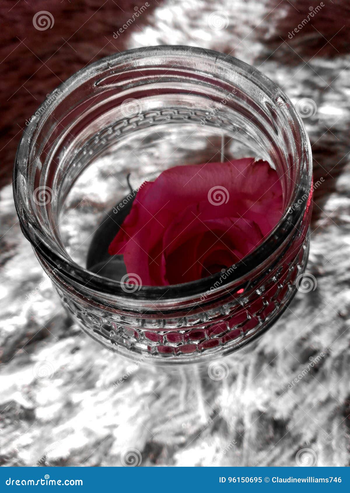 Rose in a Jar stock image. Image of rose, single, watered 96150695
