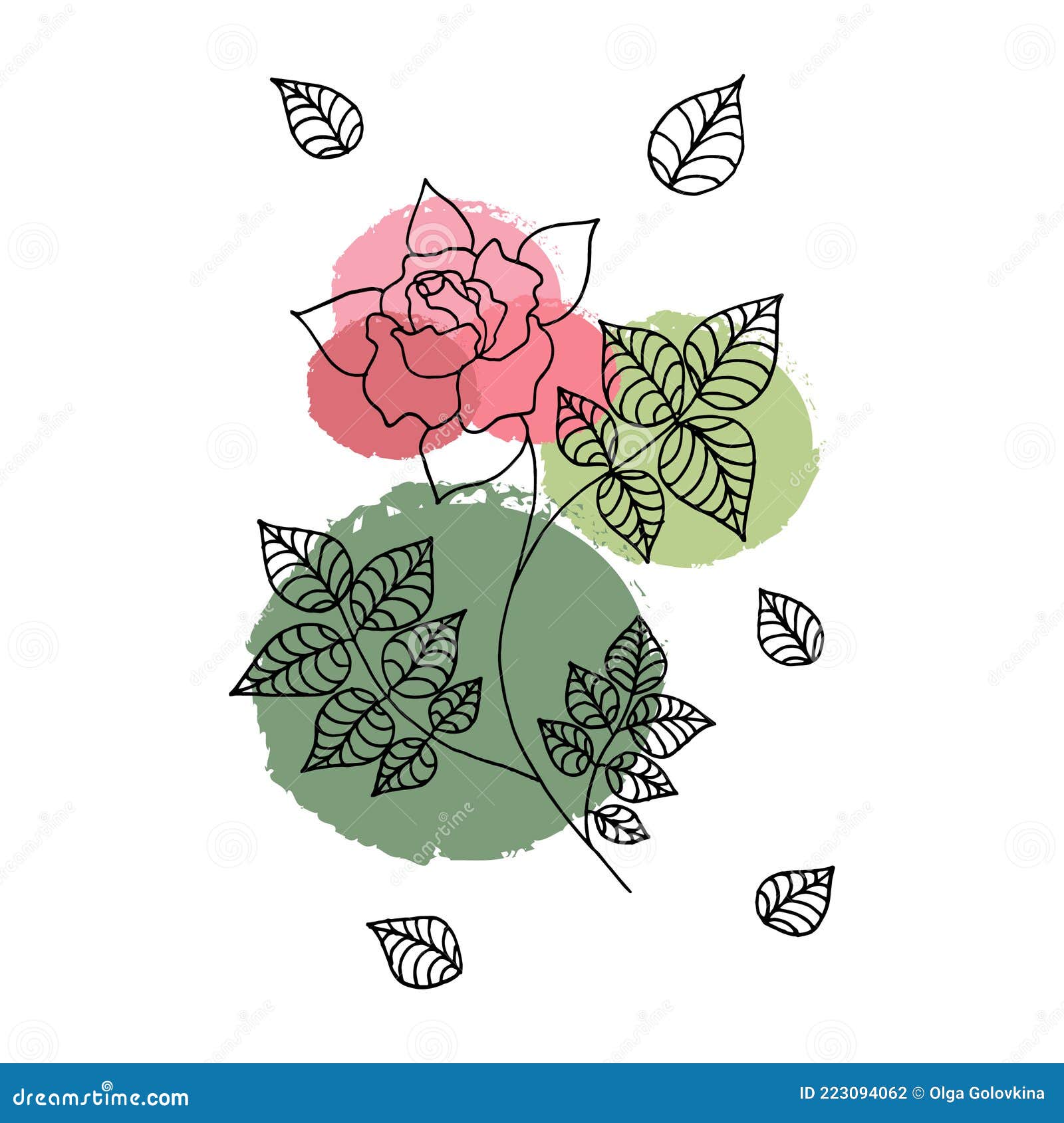 Rose Line Art Illustration Vector2 | CartoonDealer.com #223094062