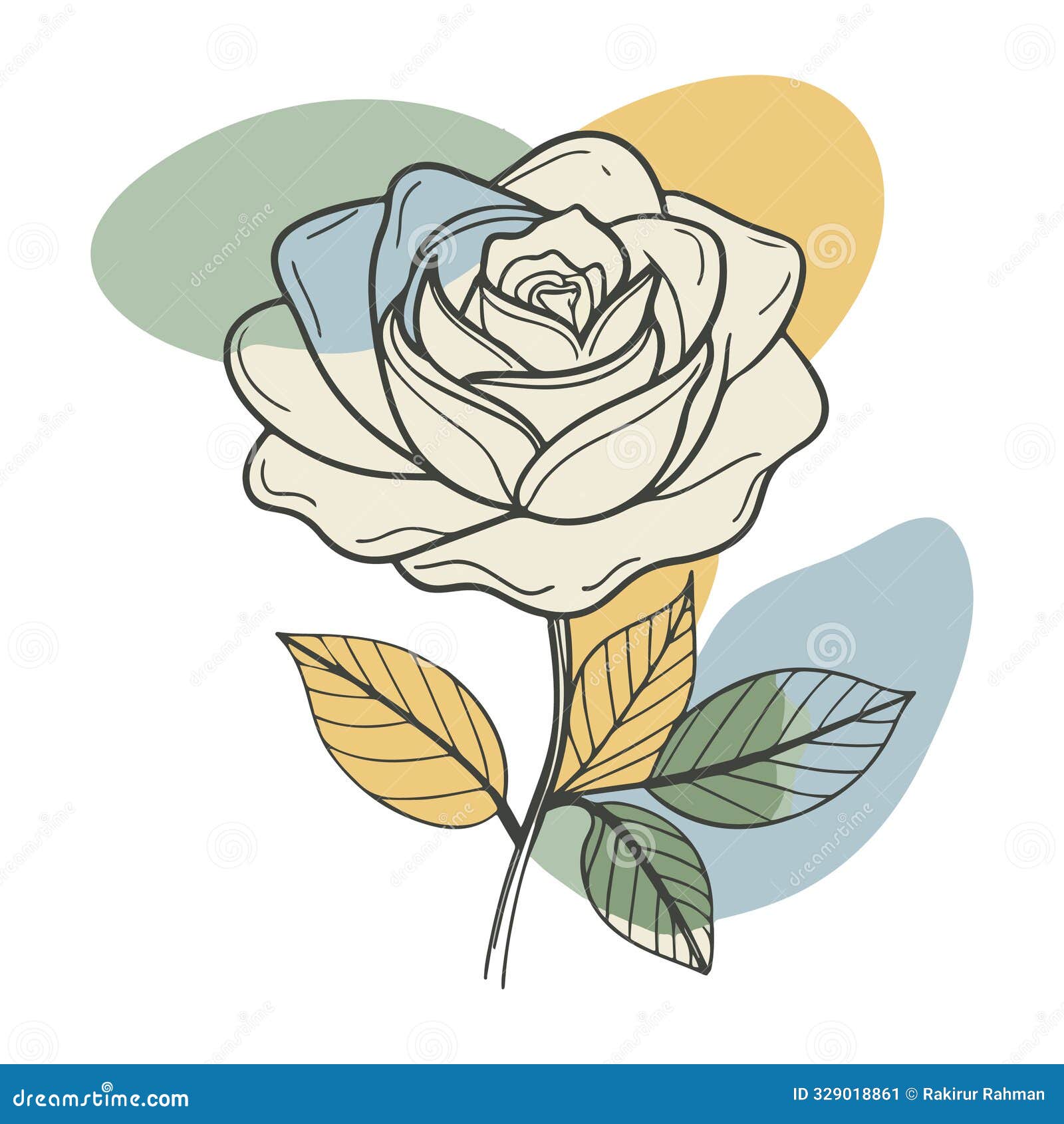rose line art   with color blobs style