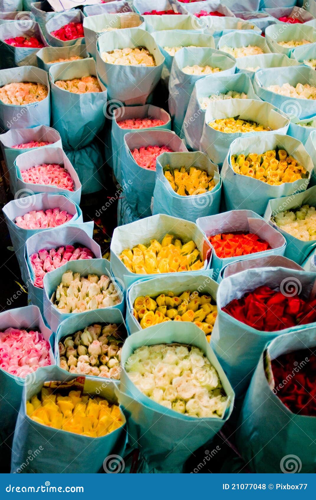 Rose in the Paper Pack, Flower Market Stock Photo Image of rose