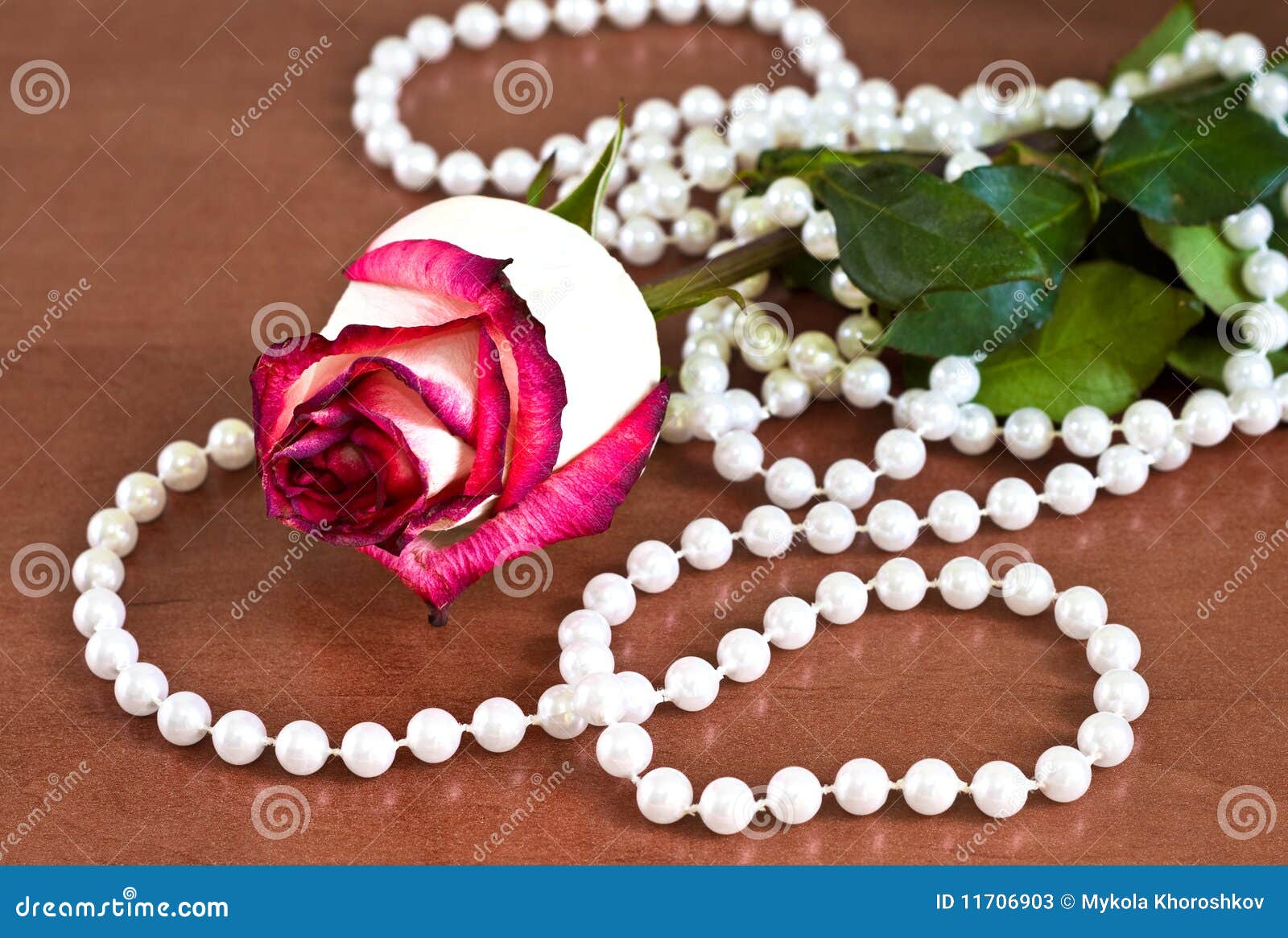 Rose with pearls stock image. Image of pearls, beautiful 11706903