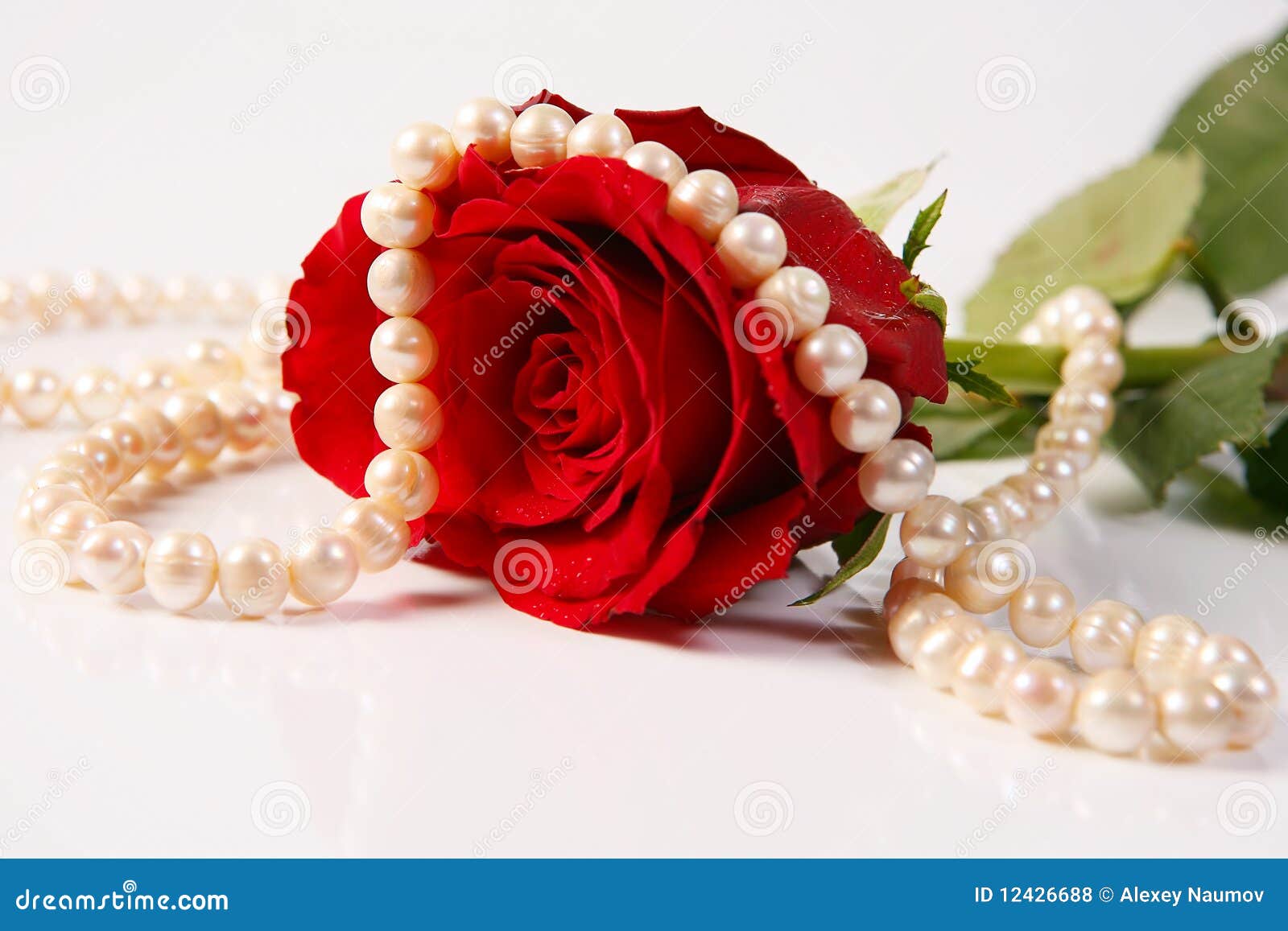 rose & pearls