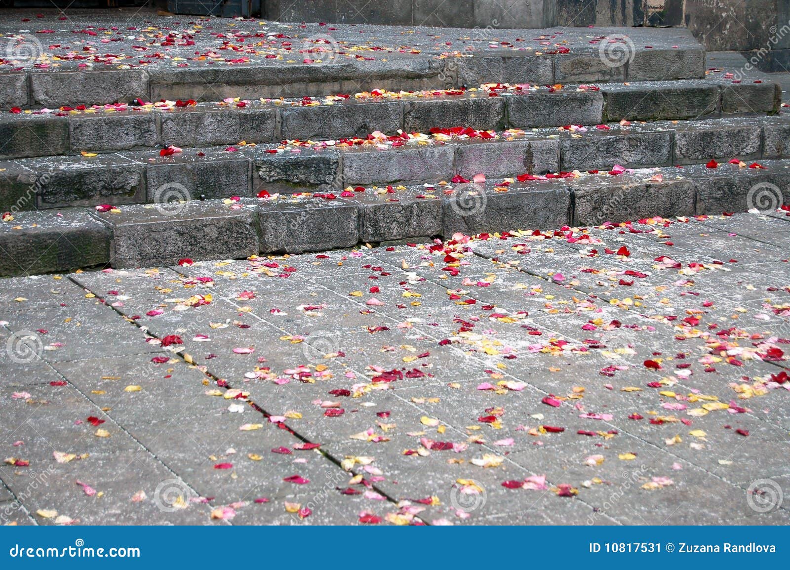 Rose petal and rice stock image. Image of petal, fresh 10817531
