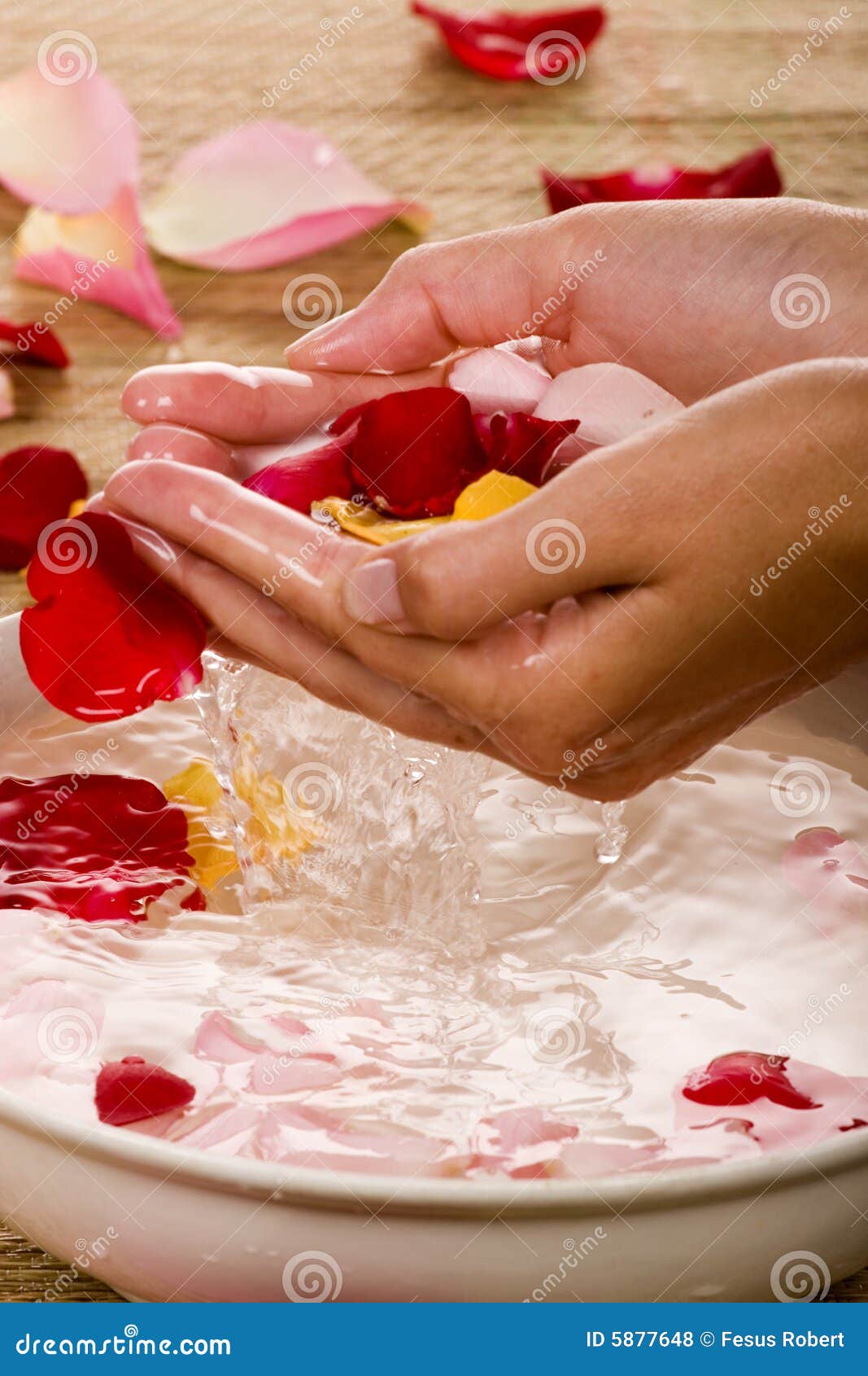 ROSE PETAL SPA stock photo. Image of petal, treatment 5877648