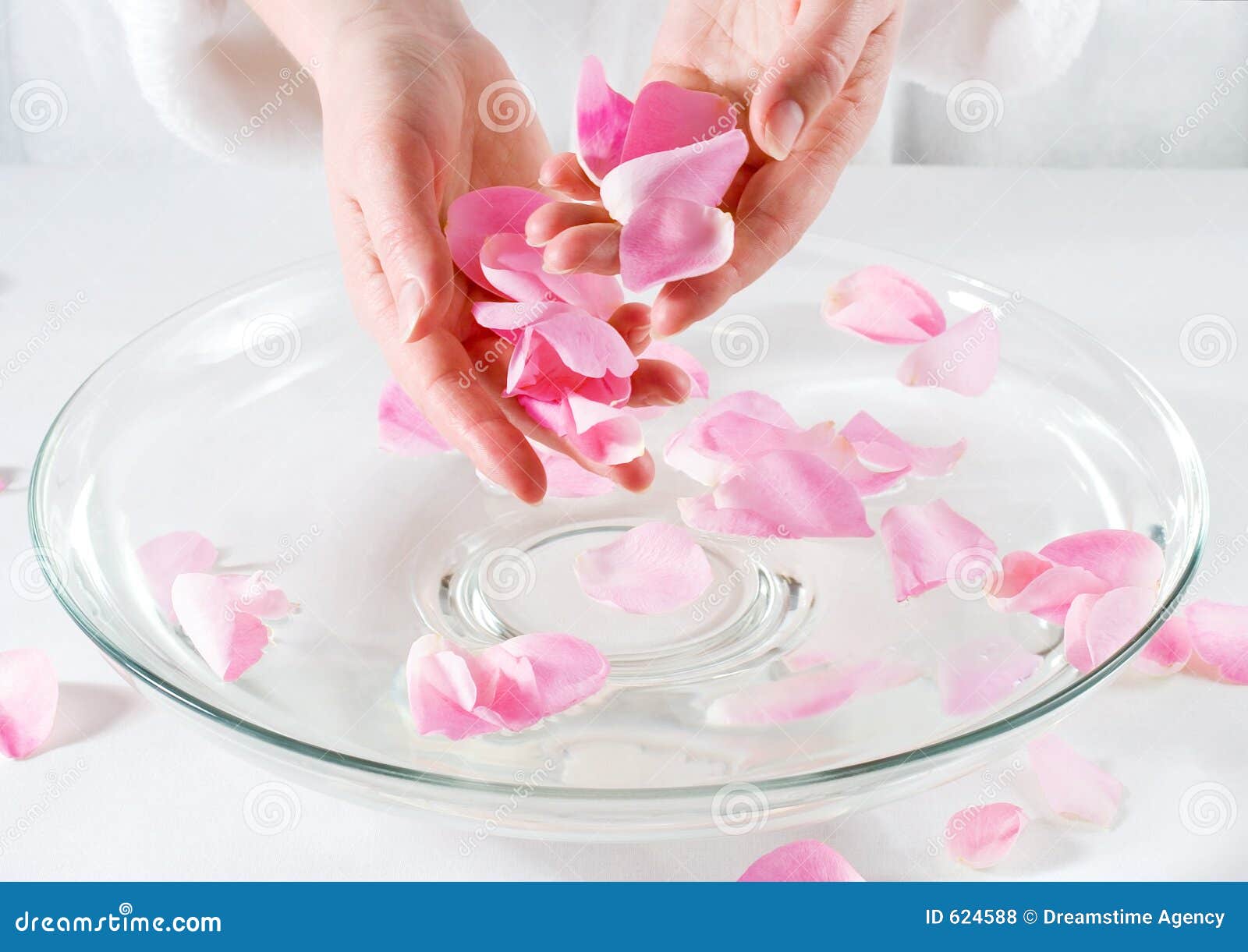 rose petal spa