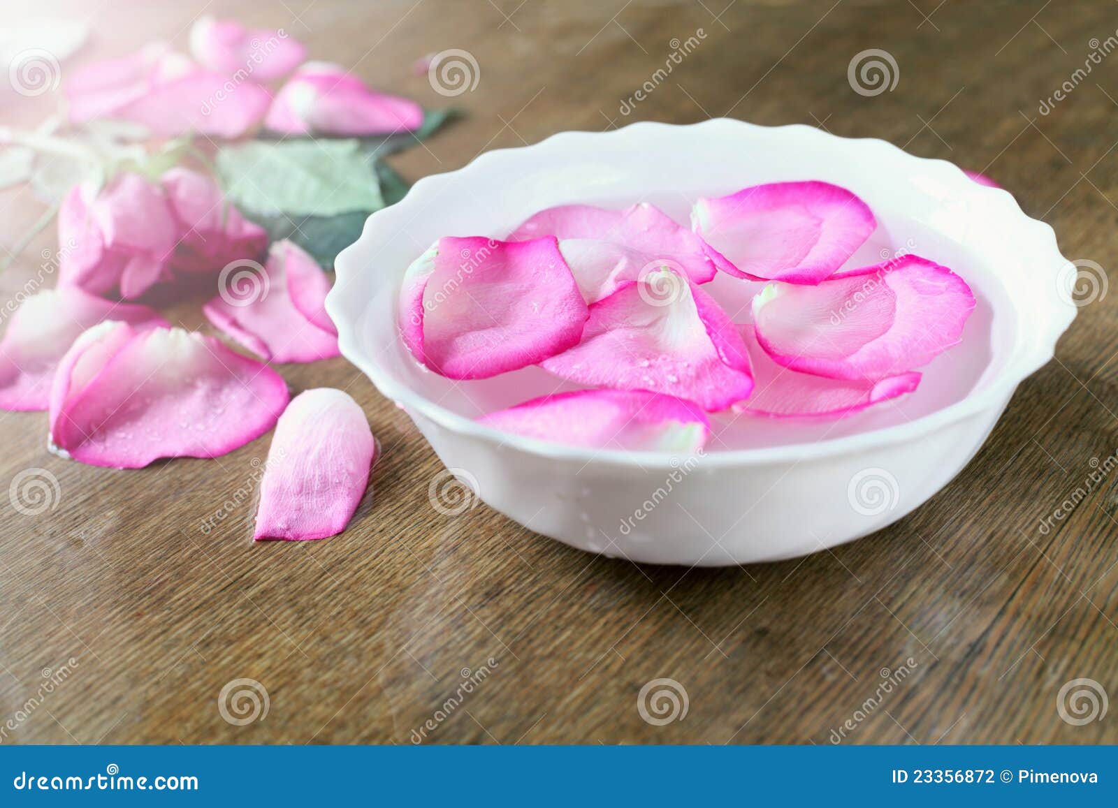 Rose petals stock photo. Image of beauty, bathroom, health 23356872