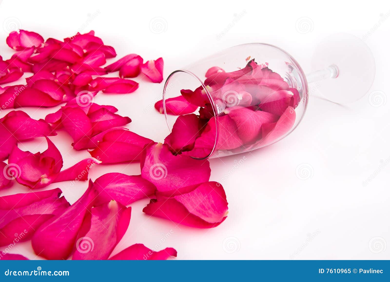 Rose petals and glass stock image. Image of business, glass 7610965