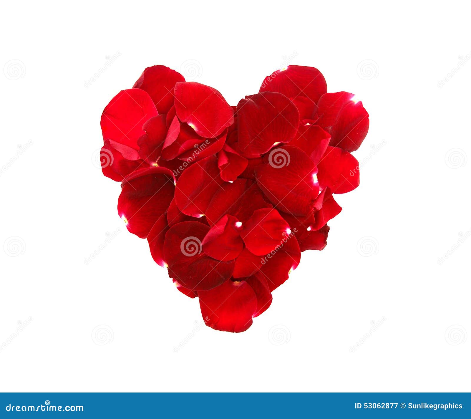 Rose Petals In Heart Shape Isolated On White Background. Stock Image