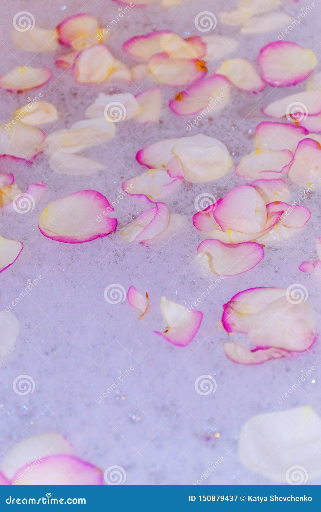Rose petals in soapy water stock image. Image of flower 150879437